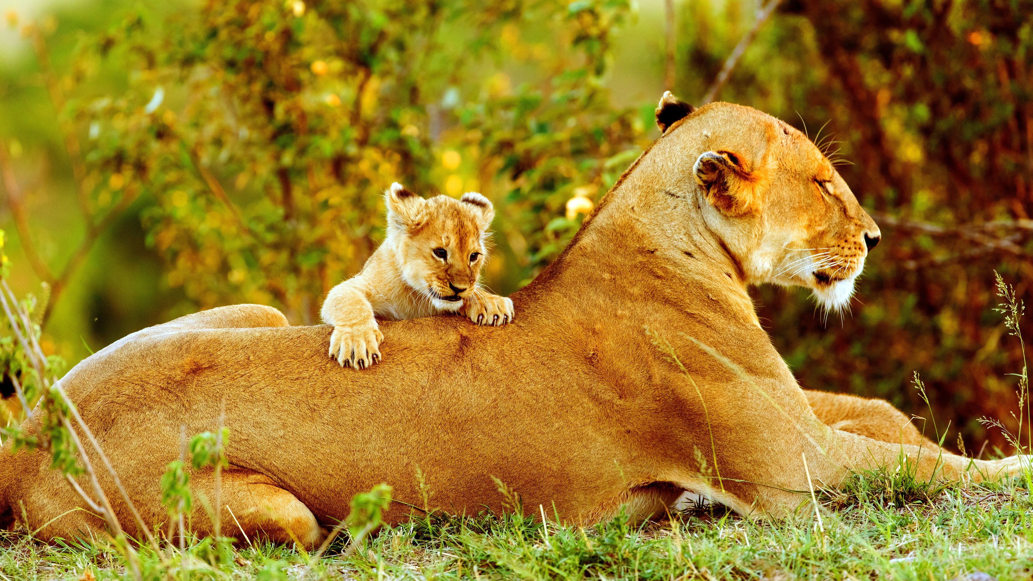 2. Överflödets årstid