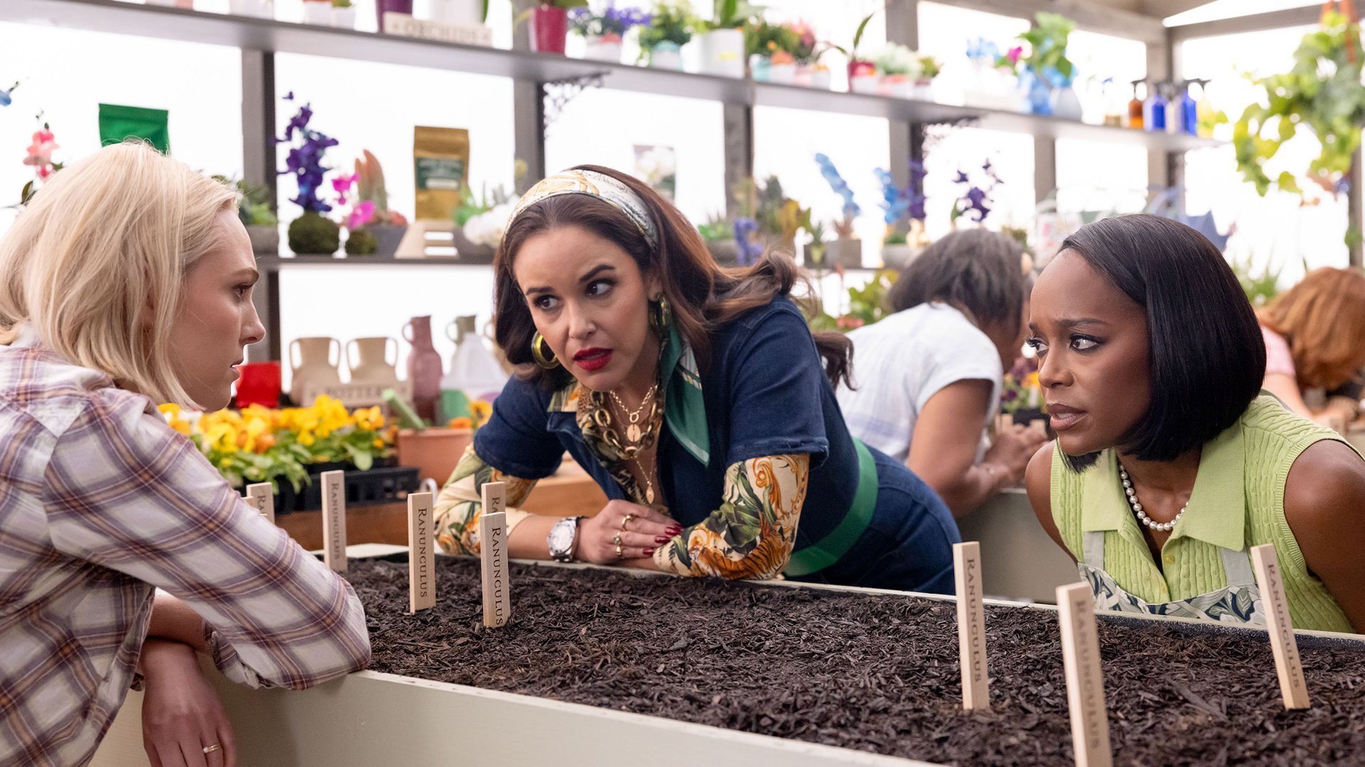 7. Germination
