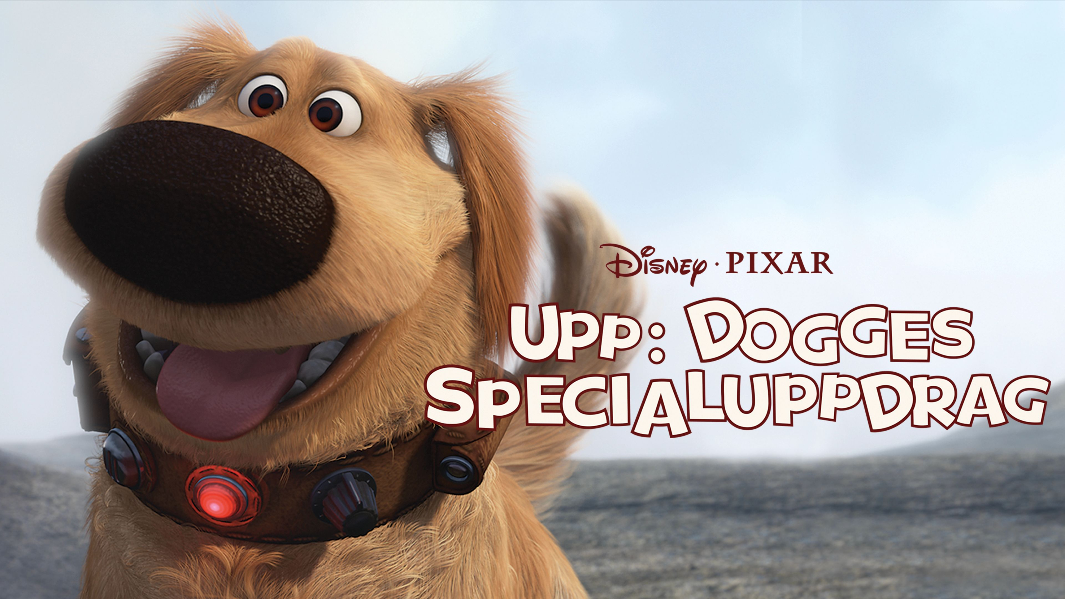 Upp: Dogges specialuppdrag
