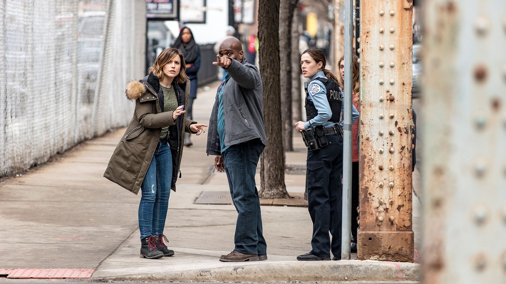 19. If We Were Normal