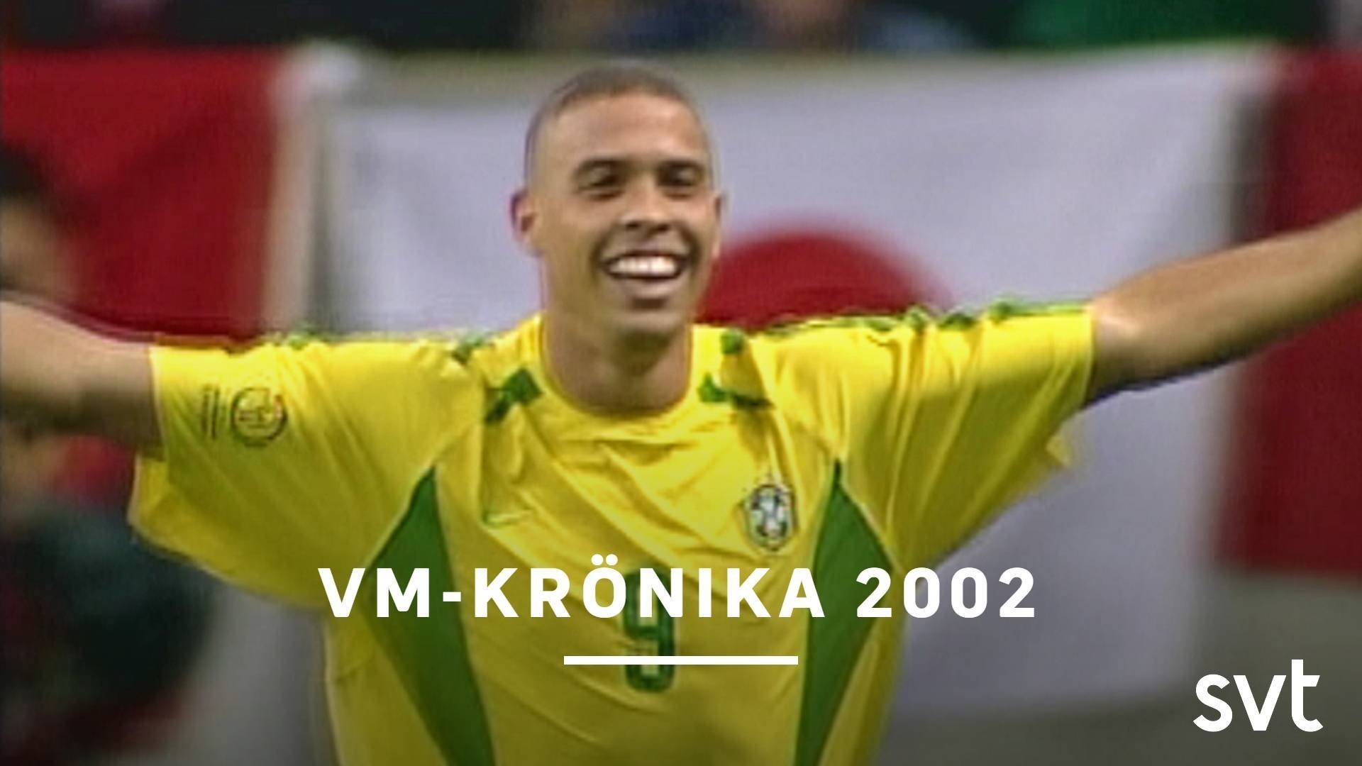 8. VM-krönika 2002