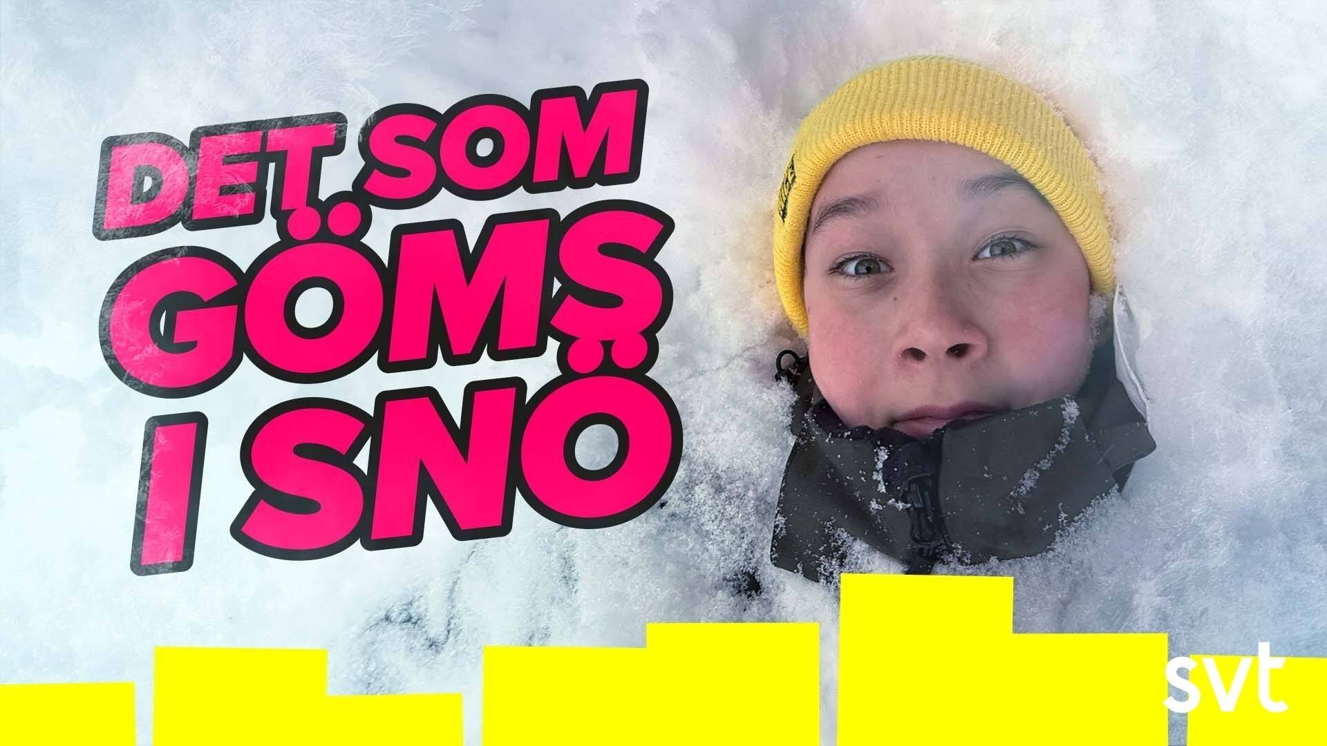 44. Det som göms i snö