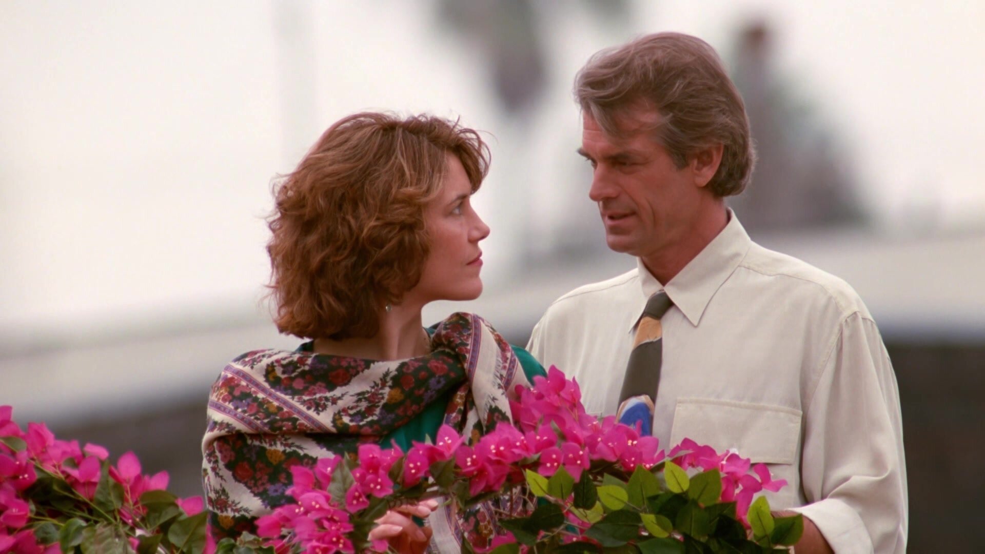 8. The 17 Year Itch