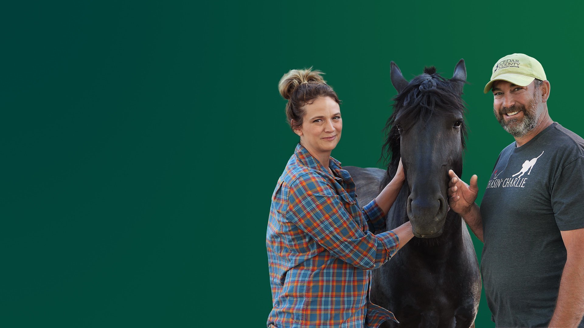 Veterinärer i mellanvästern