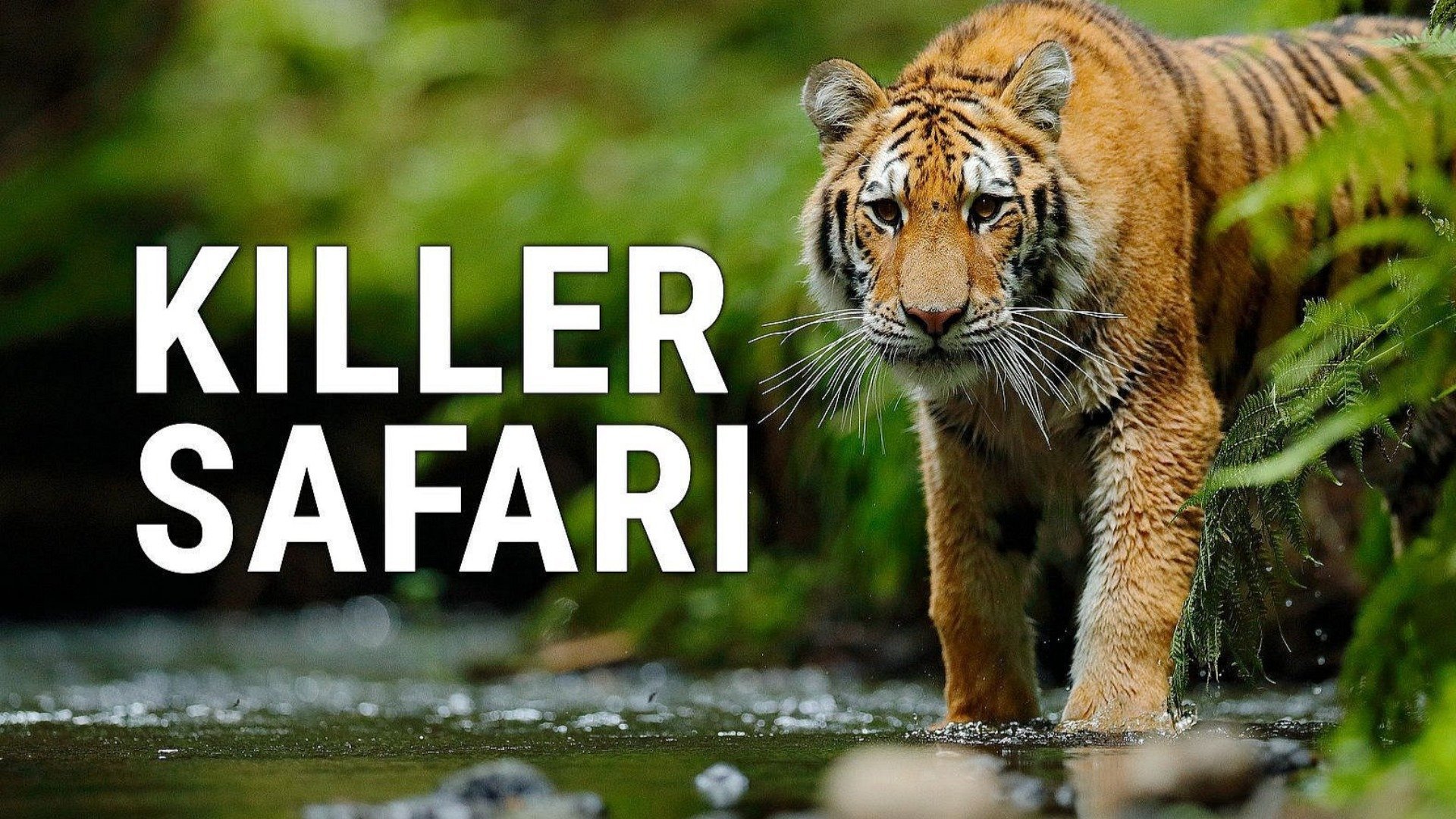 Dödlig safari