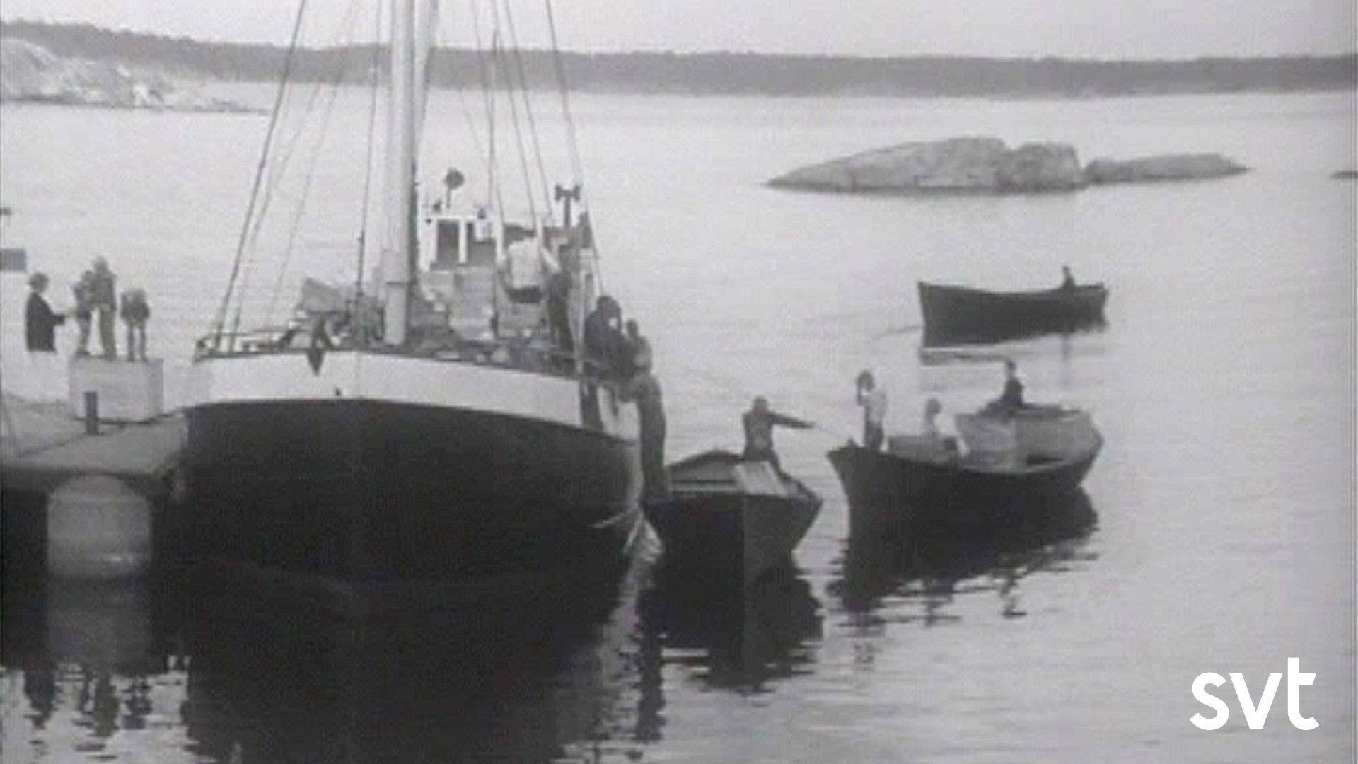 Jordgubbsbåten
