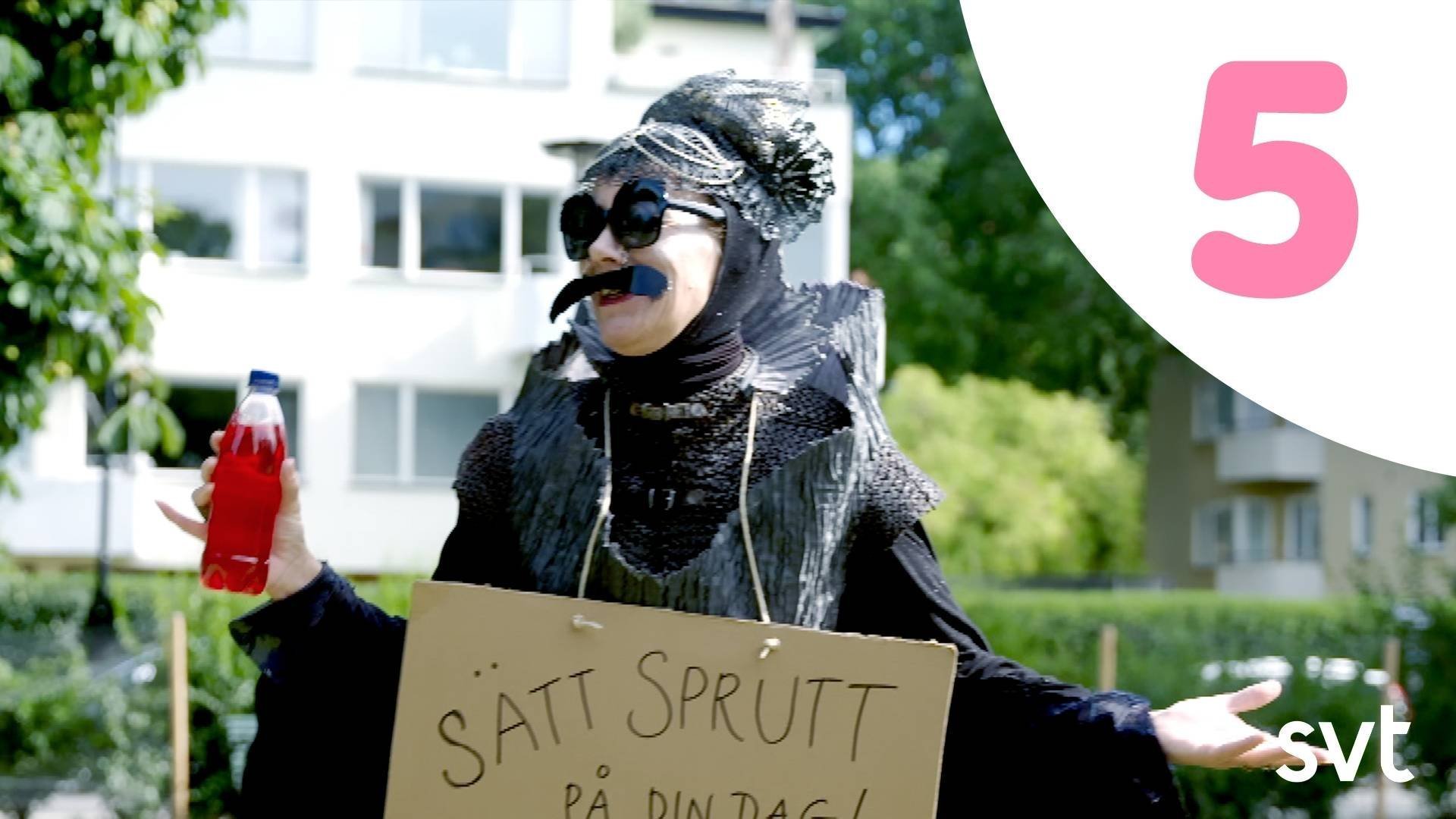5. Pruttas prinsessjakt startar