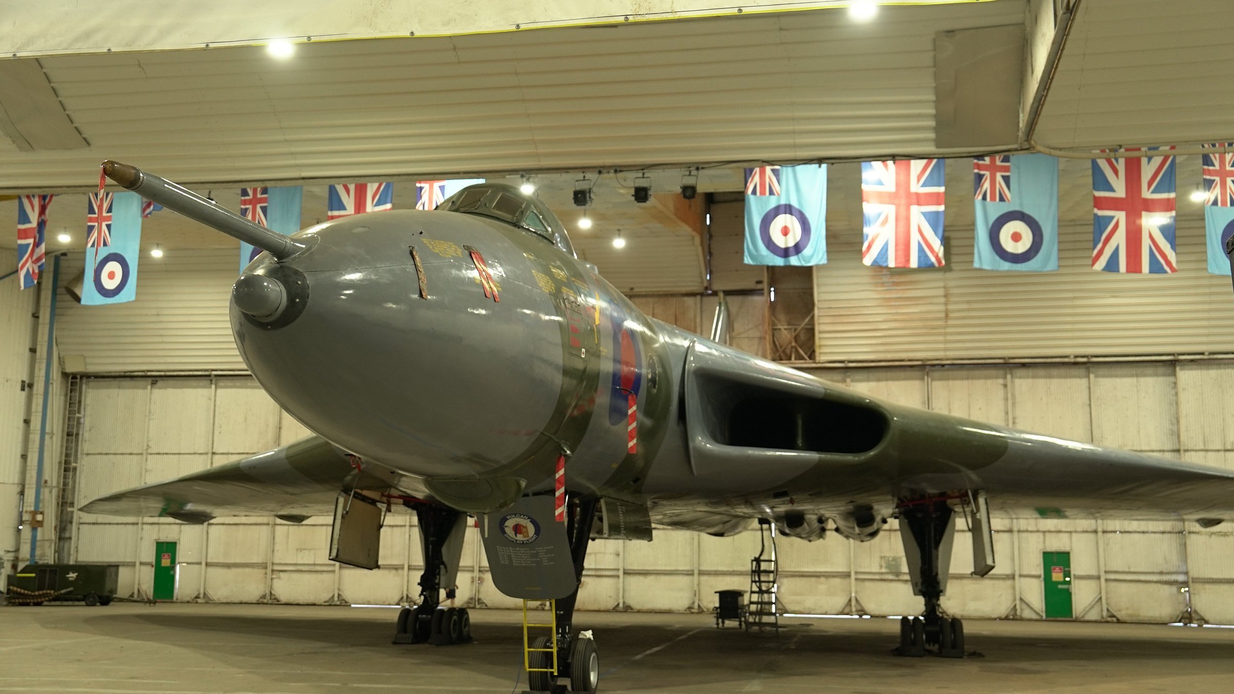 8. Harrier