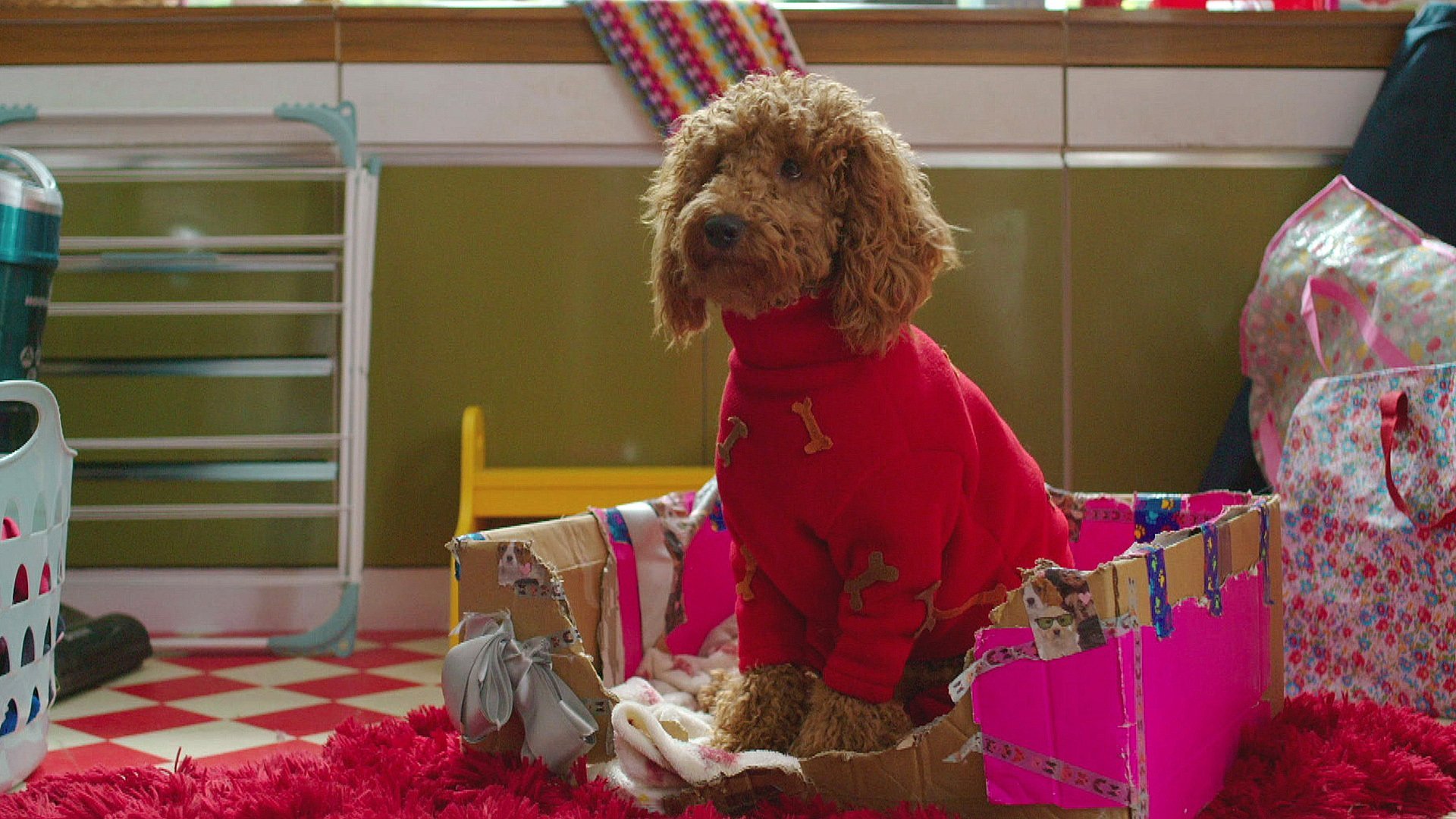 17. Våfflan är sjuk