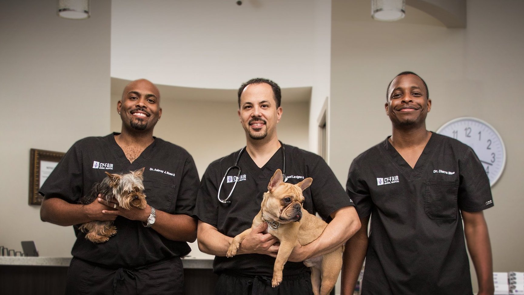 The Vet Life