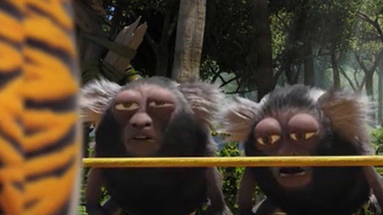 24. 12 förkylda apor