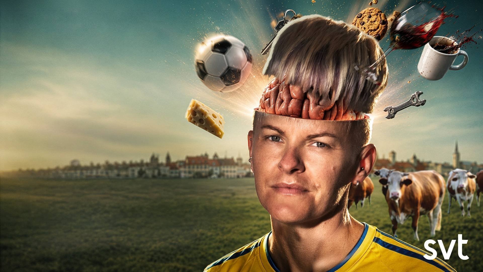 Sanningen om Sveriges huvudvärk