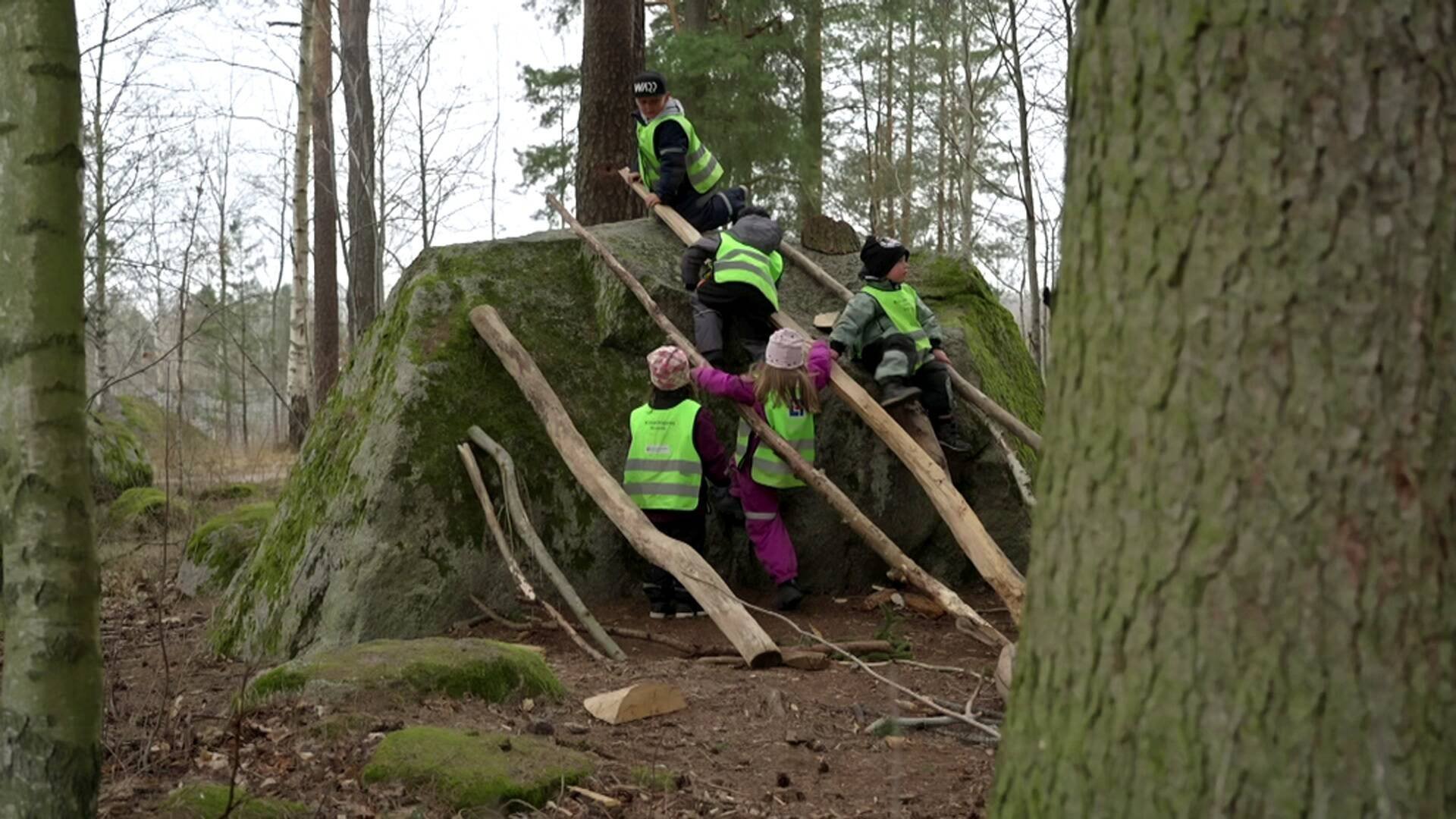 18. Kaniner i skogen