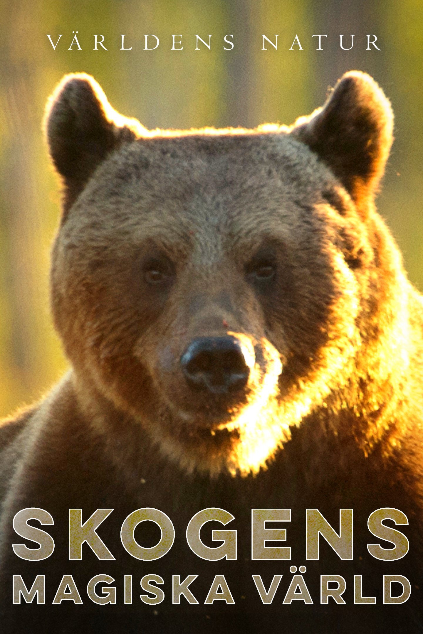 Världens natur: Skogens magiska värld