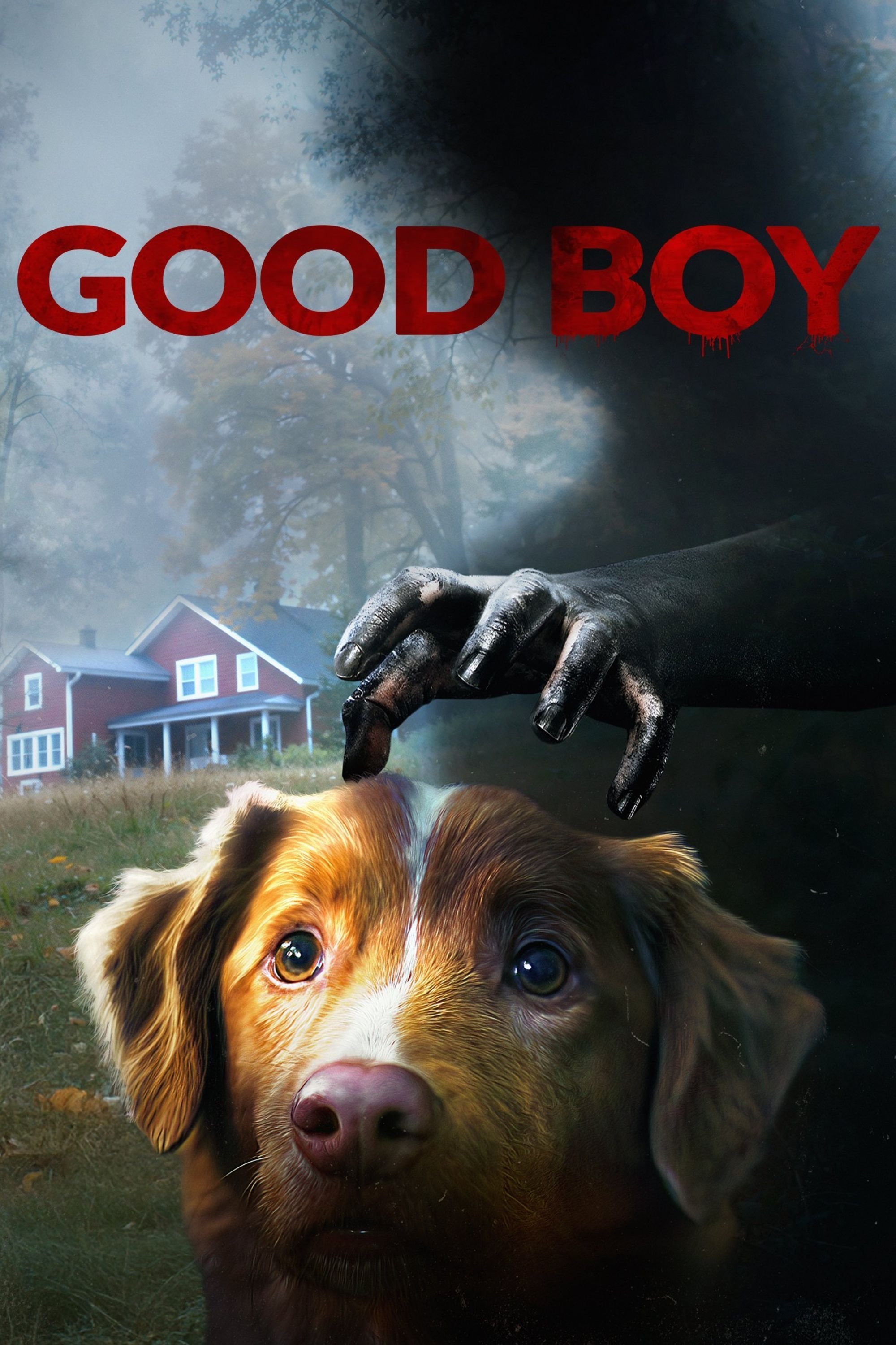 Good Boy