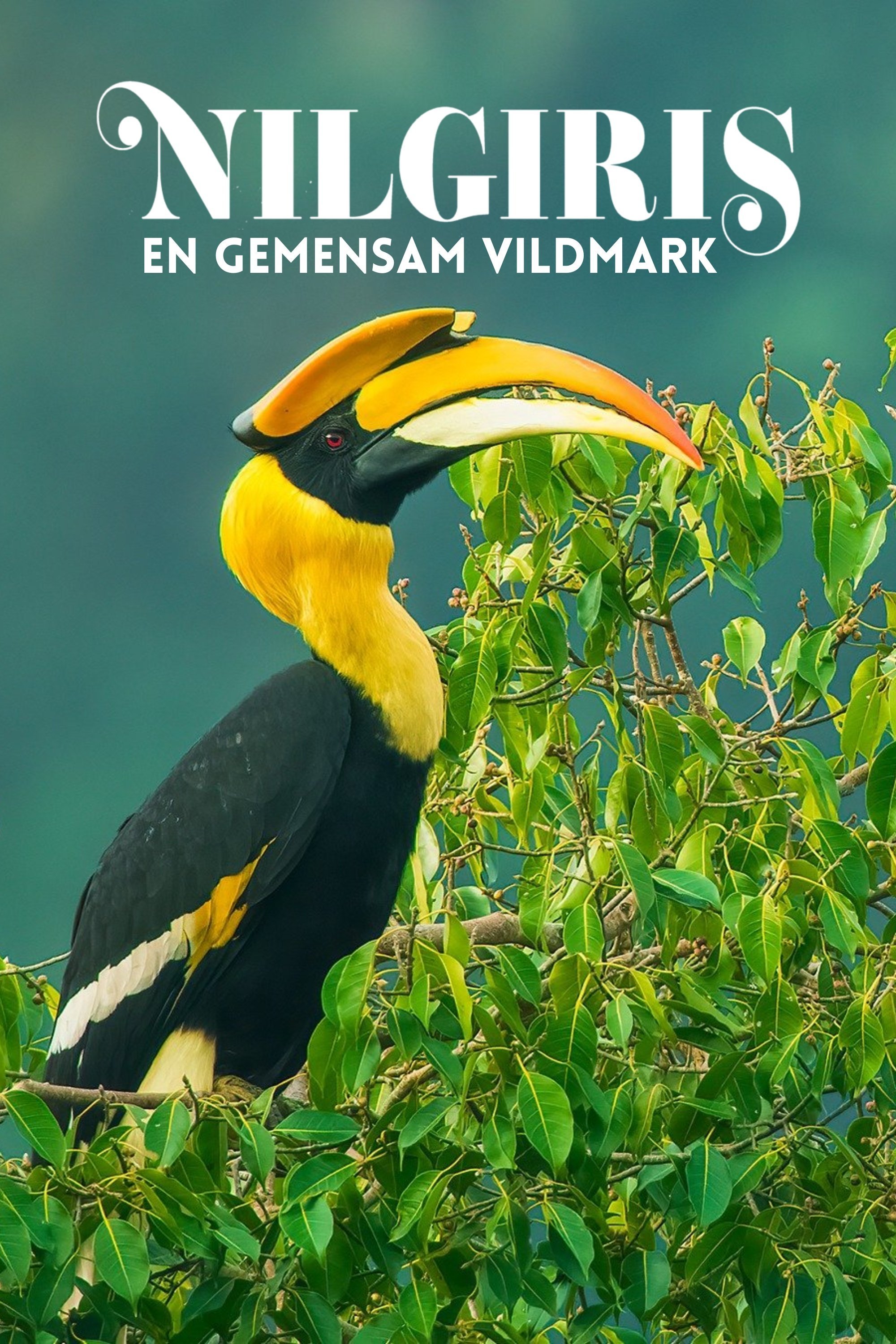 Nilgiris: En gemensam vildmark