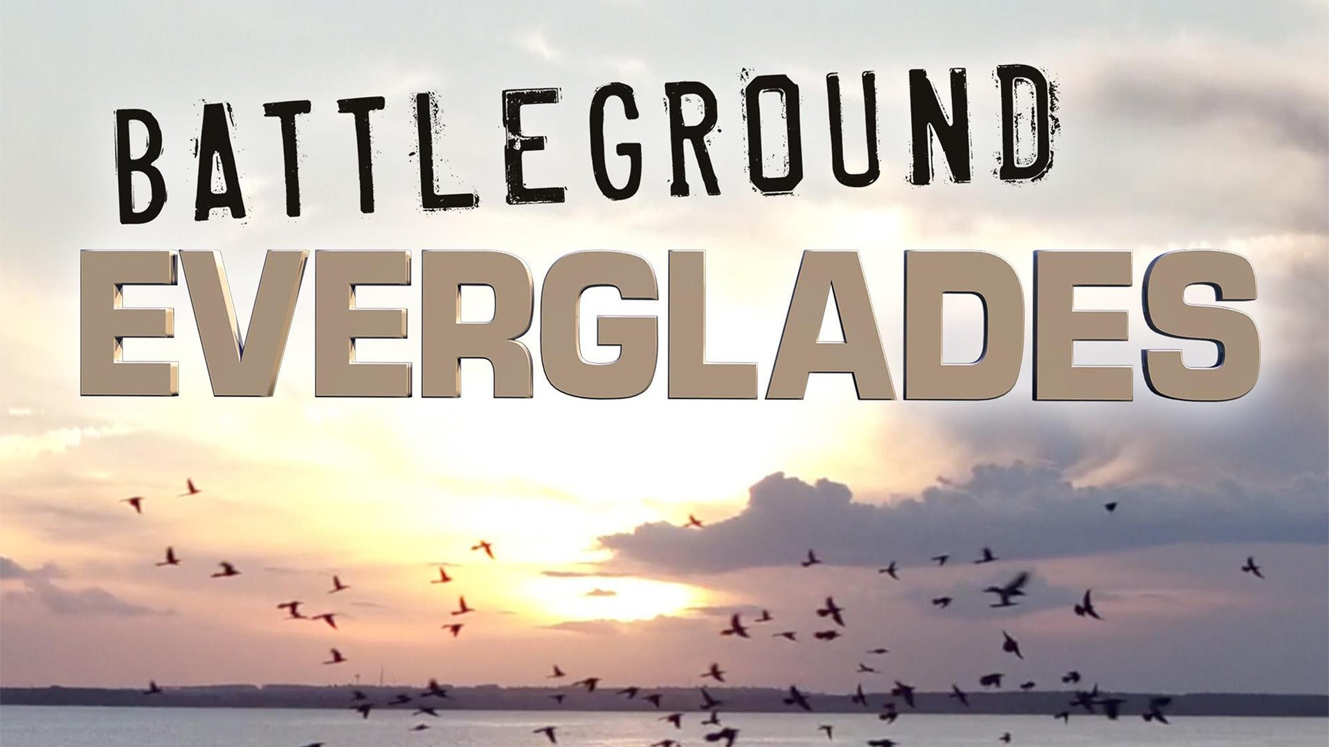 Everglades