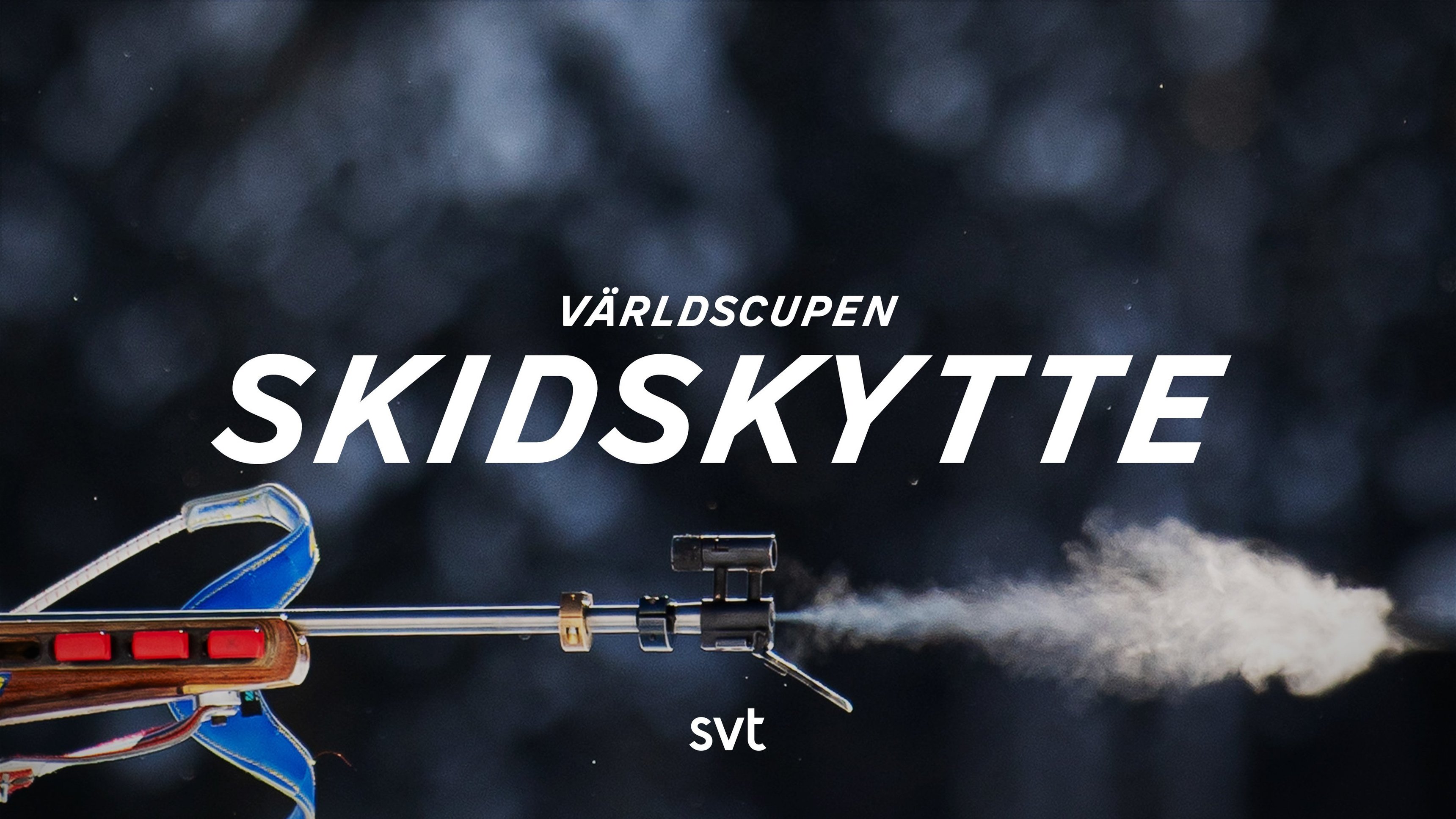 Skidskytte: Världscupen