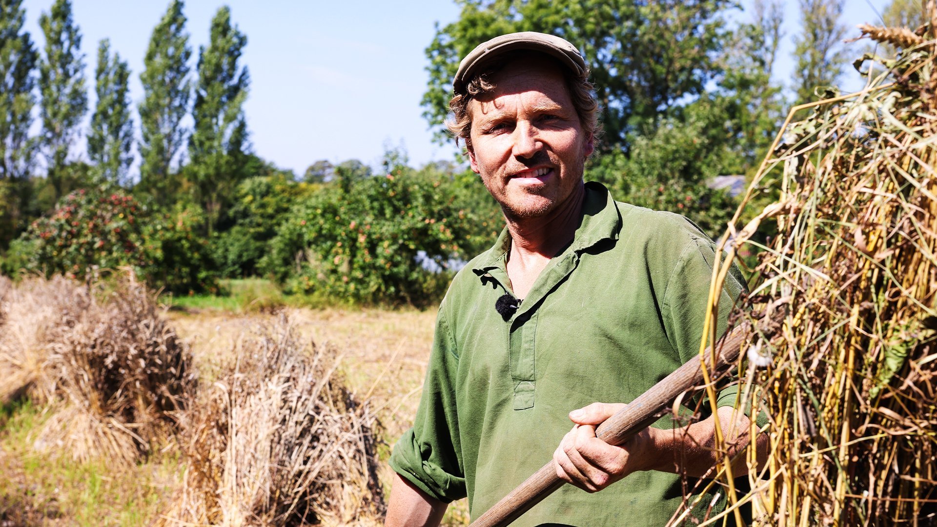 Hundra procent bonde