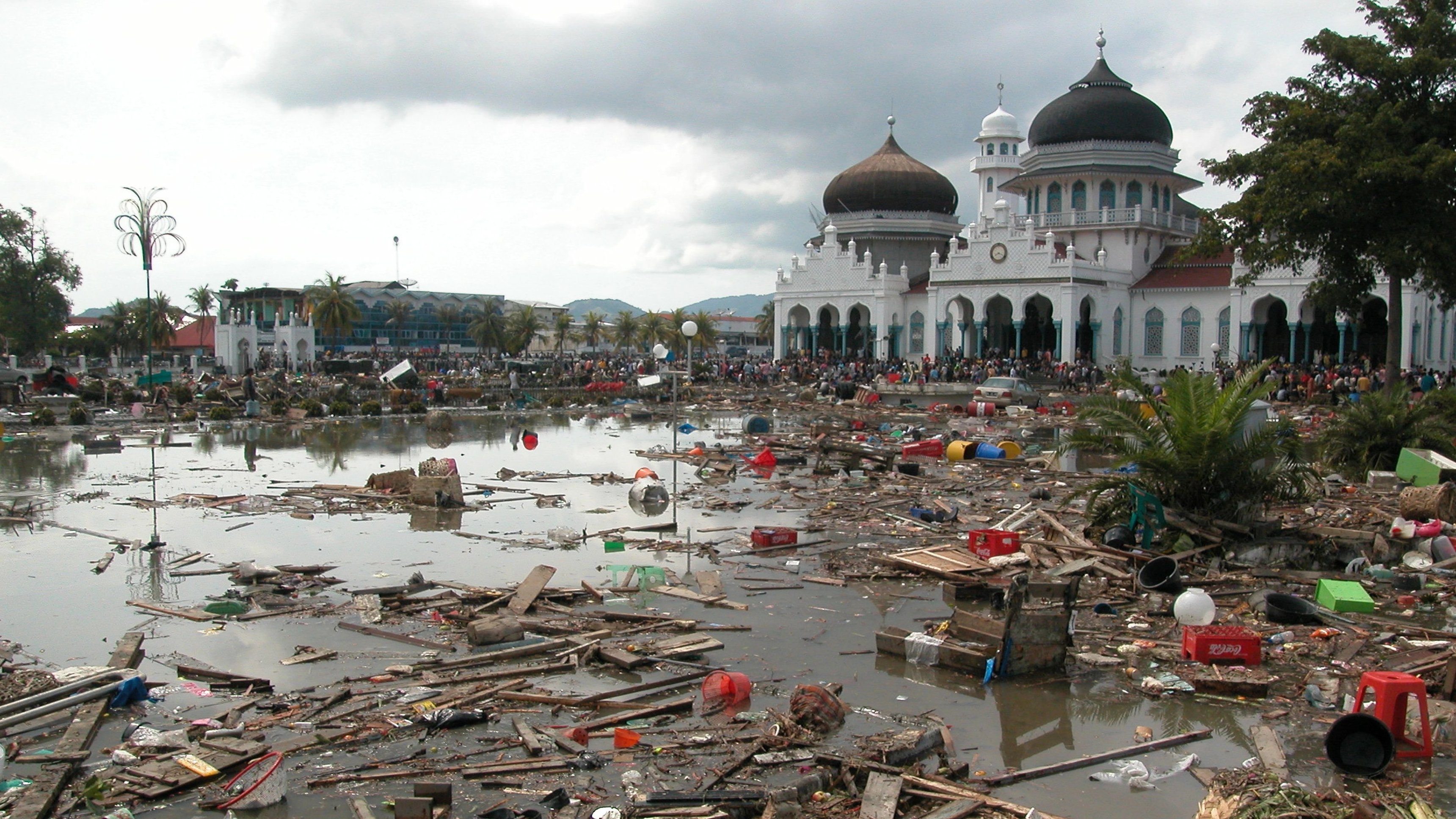 Tsunami: Race Against Time
