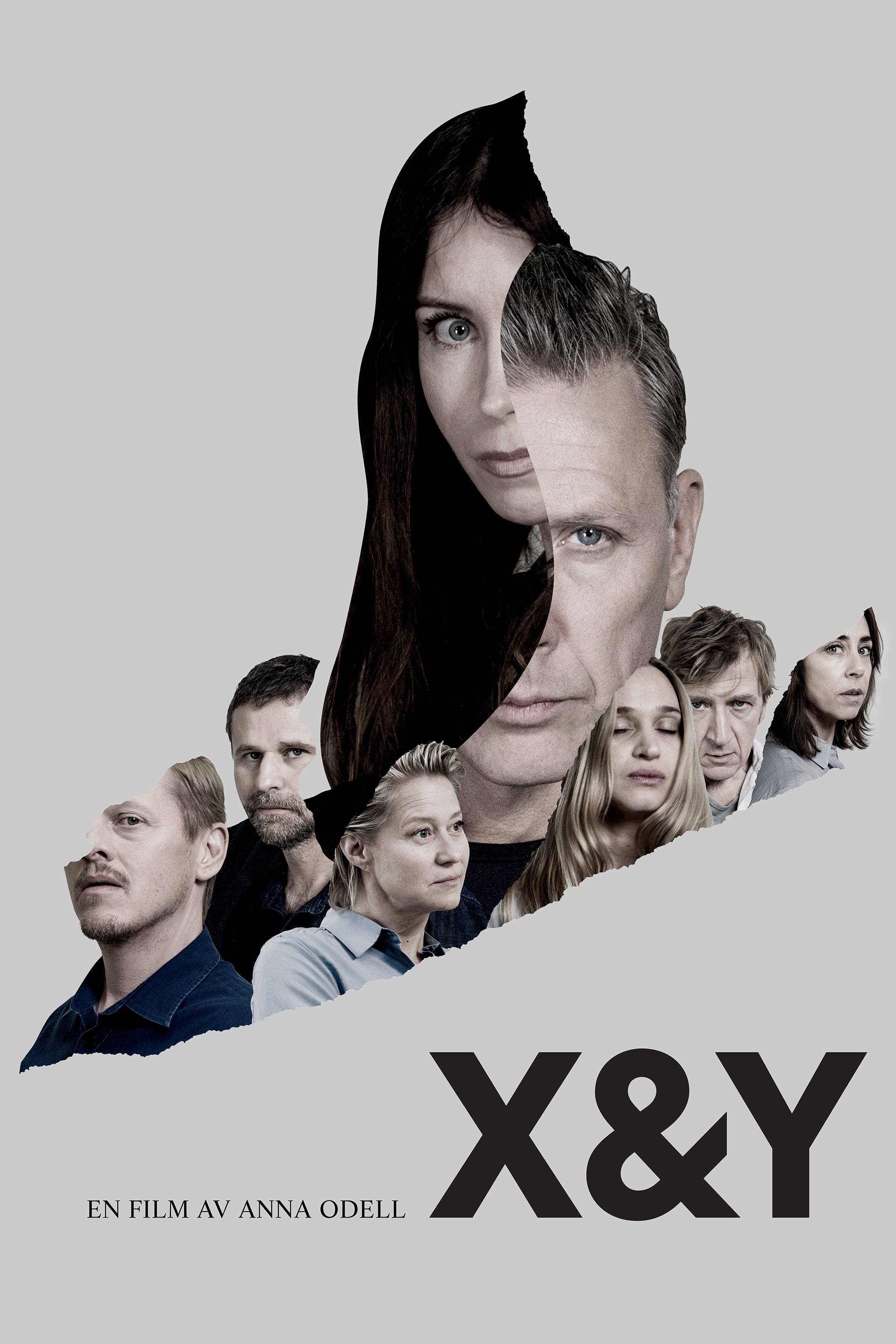 X & Y