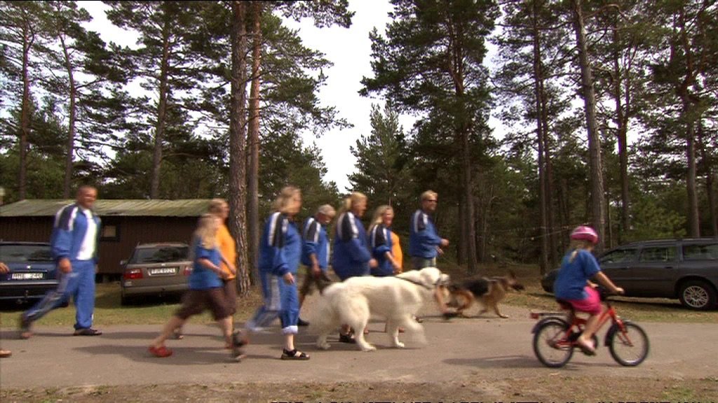 4. Campingmodet