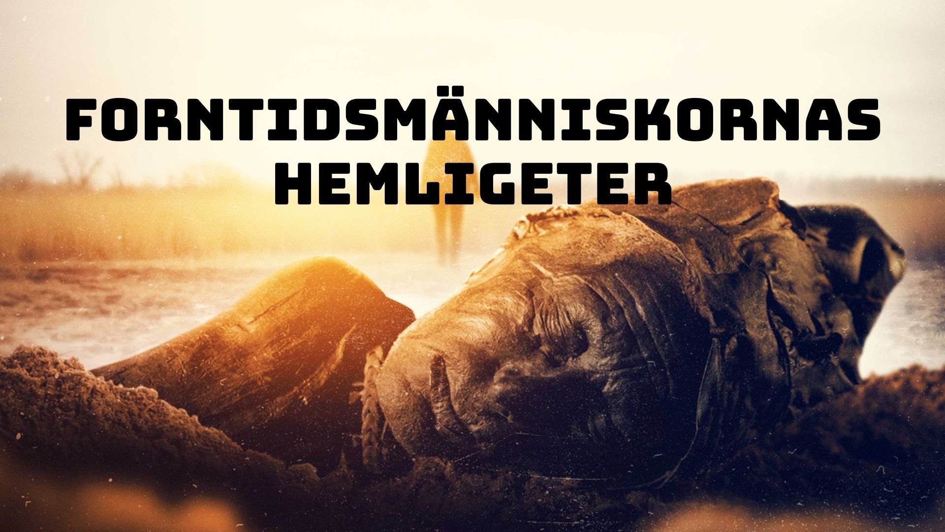 Forntidsmänniskornas hemligeter