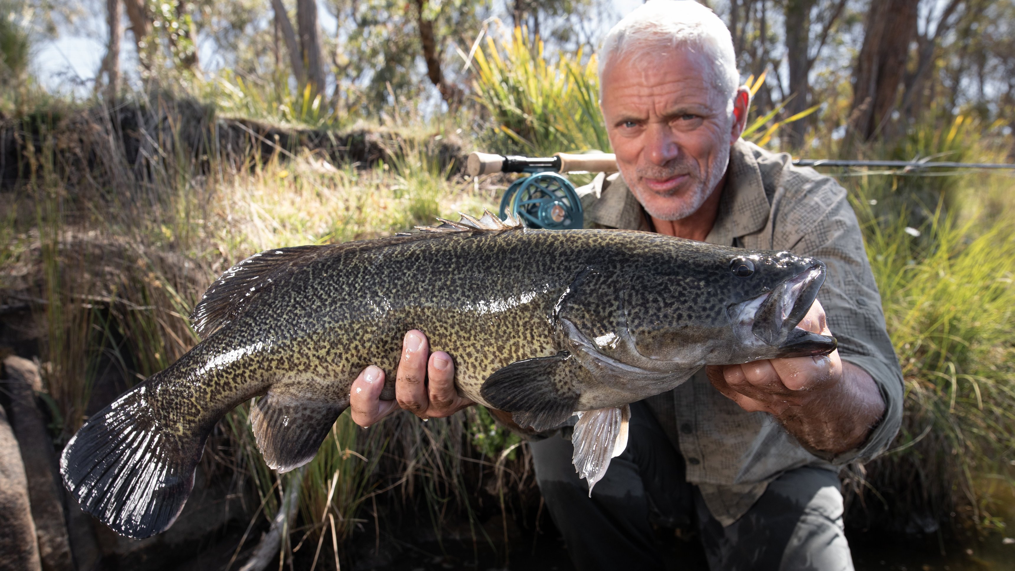3. Return Of The Outback Beast