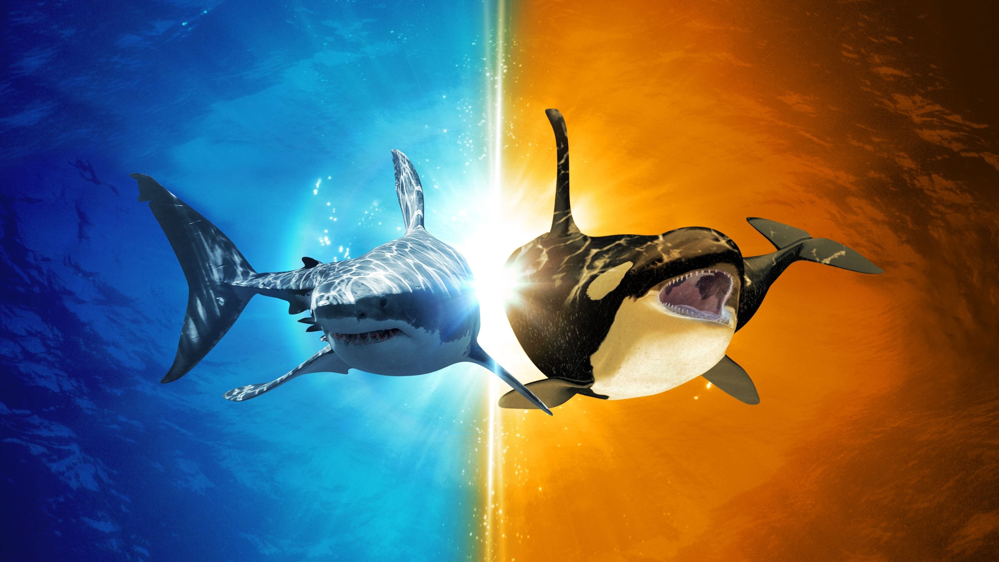 Killer Shark vs. Killer Whale