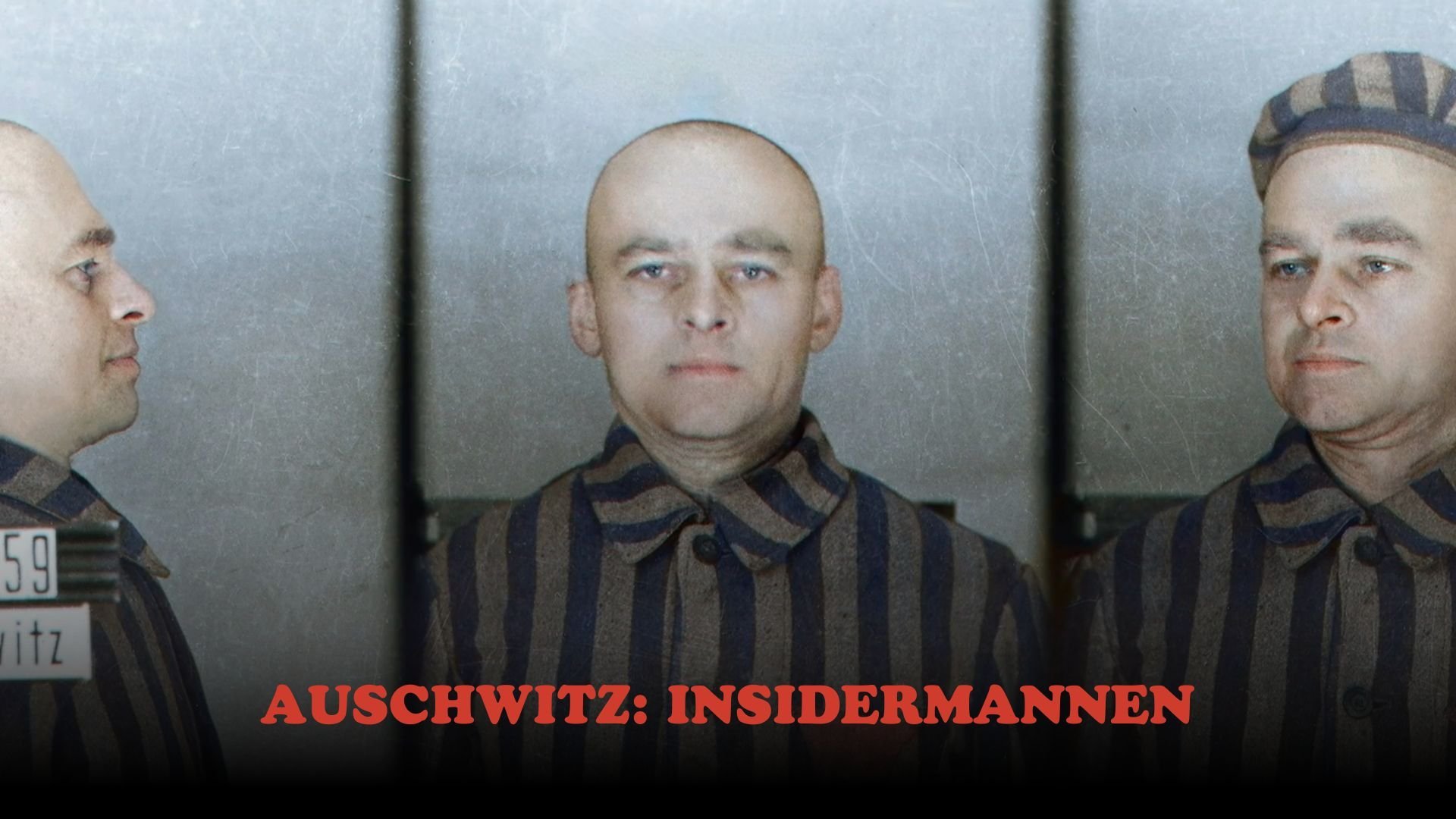 Auschwitz: Insidermannen