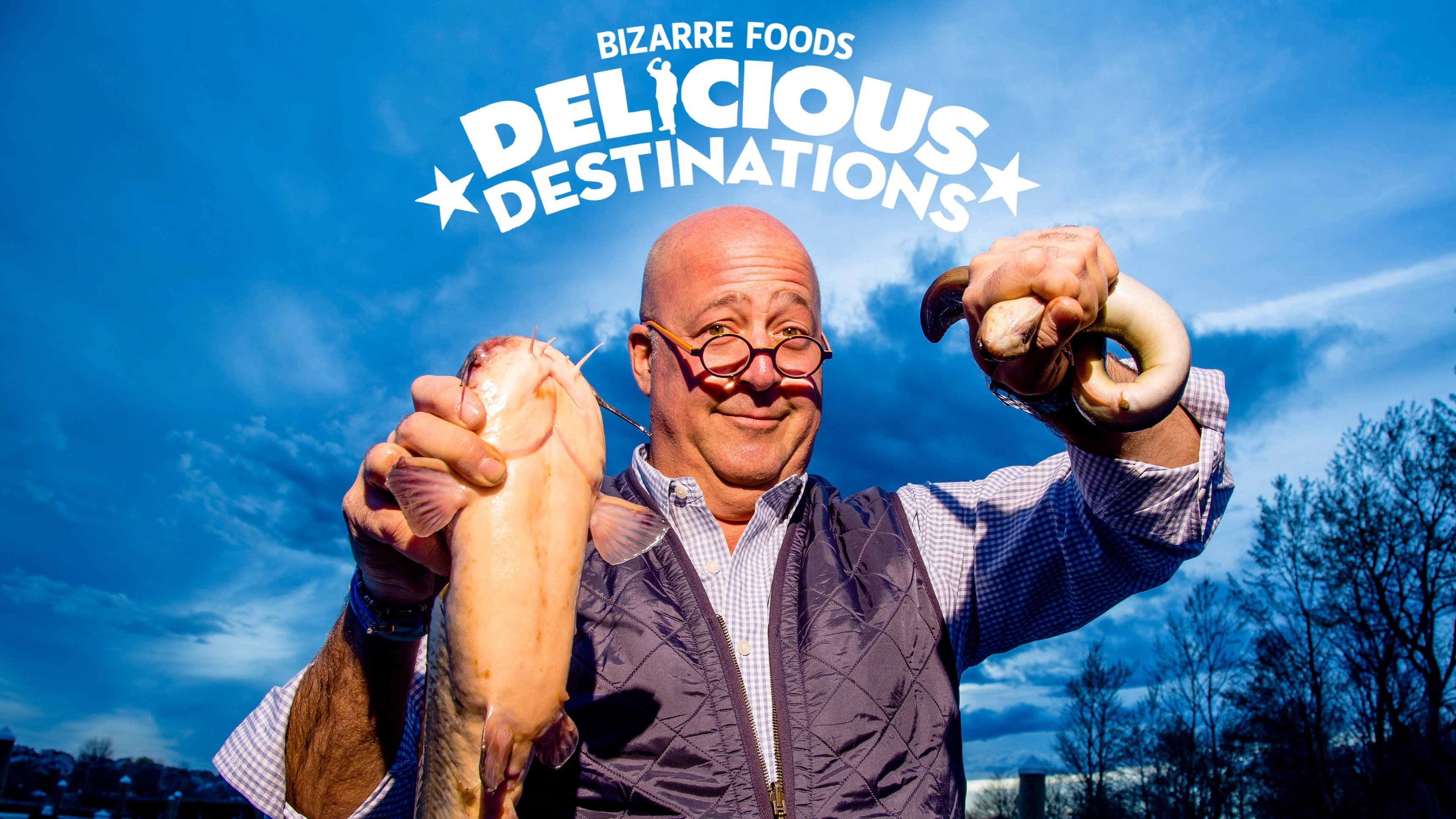 Bizarre Foods: Delicious Destinations