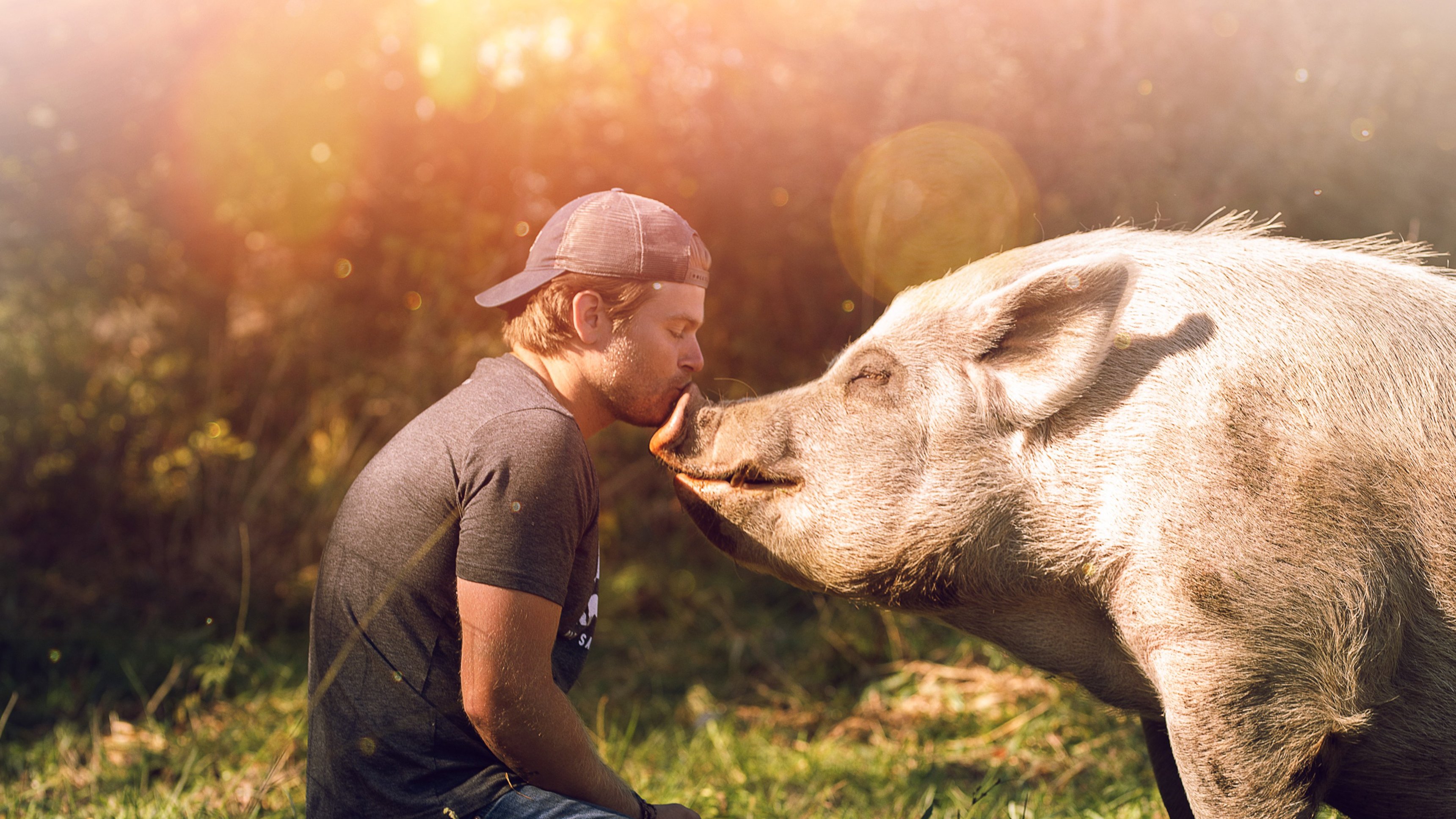 Saved By The Barn