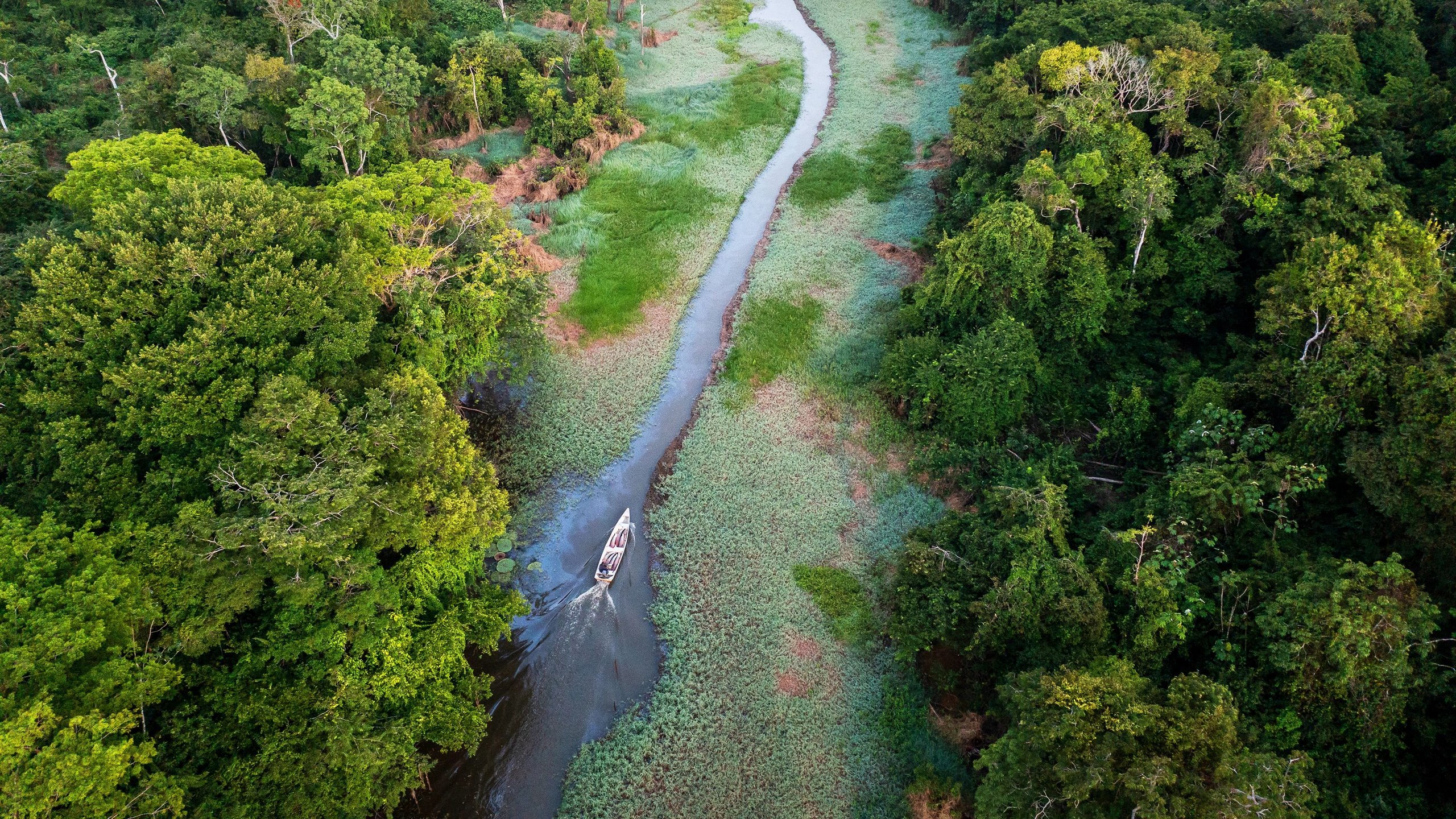 Expedition Amazon