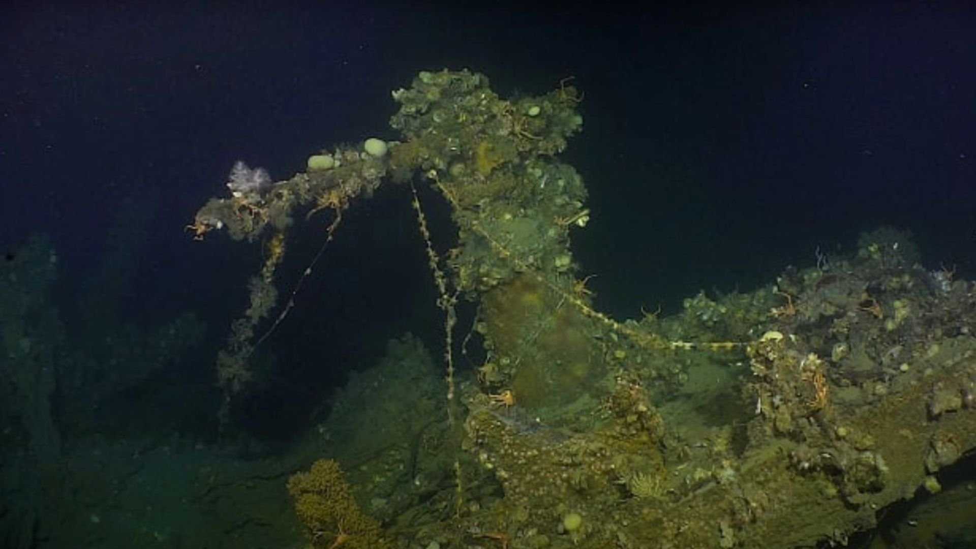 2. Uss Ward: America's First Shot
