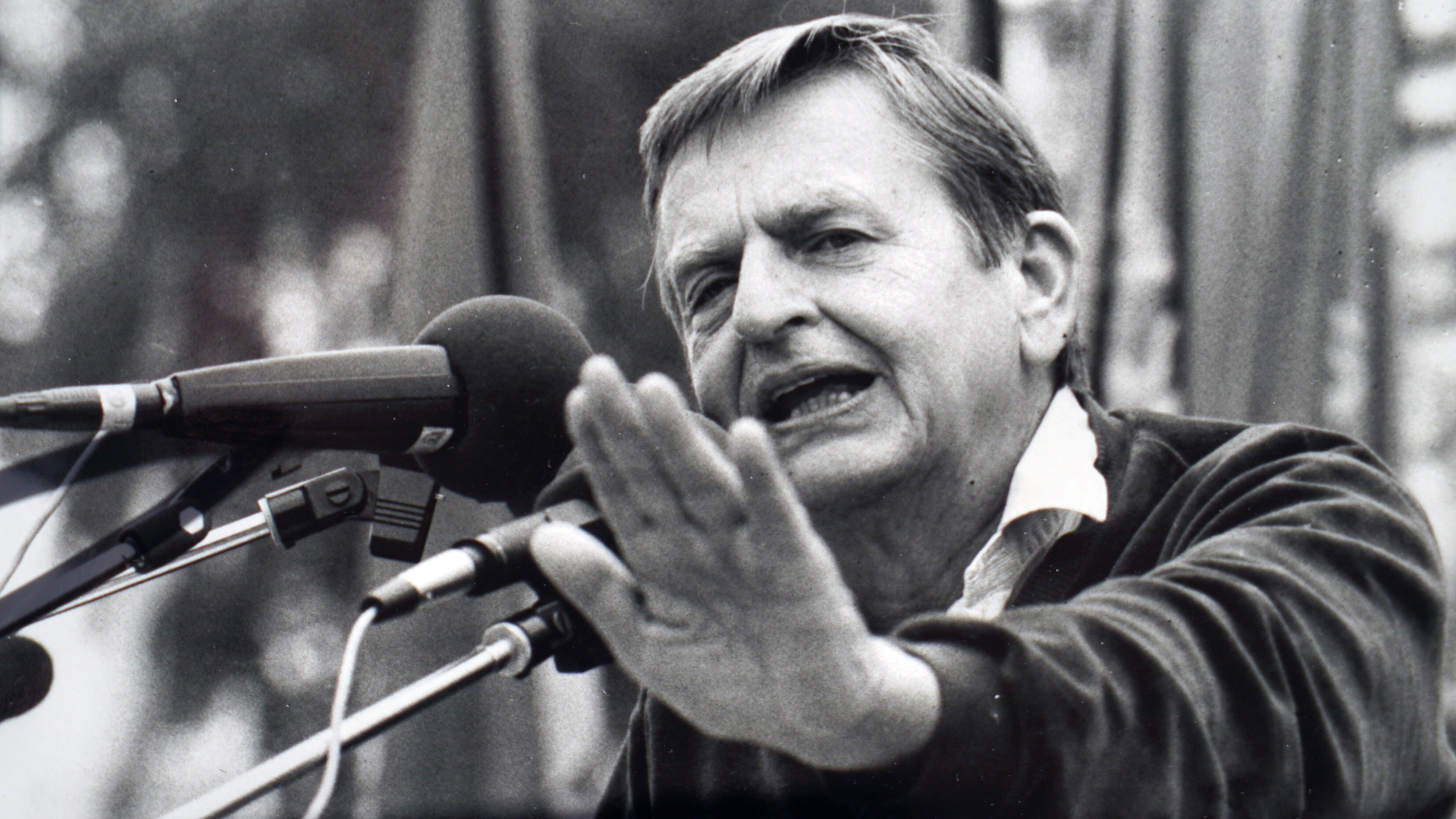 Palme: sista timmarna