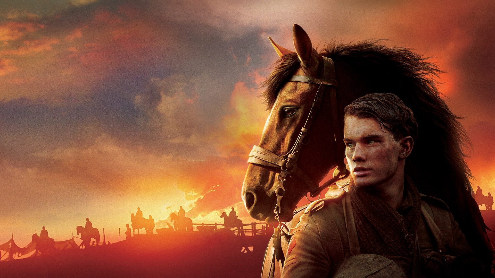 War Horse