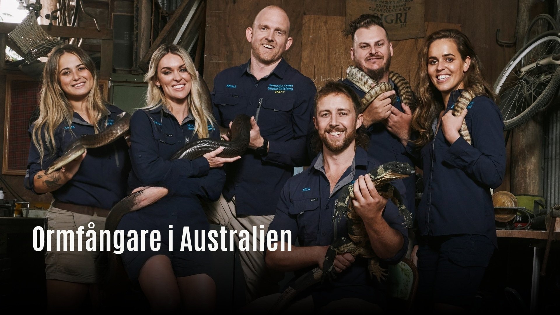 Ormfångare i Australien