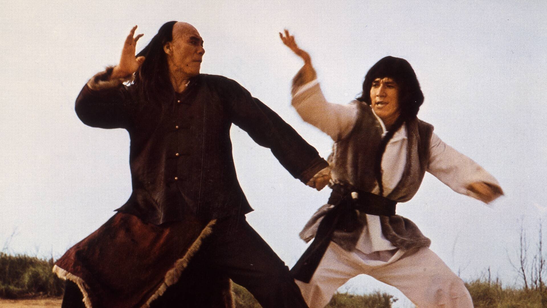 Snake and Crane Arts of Shaolin