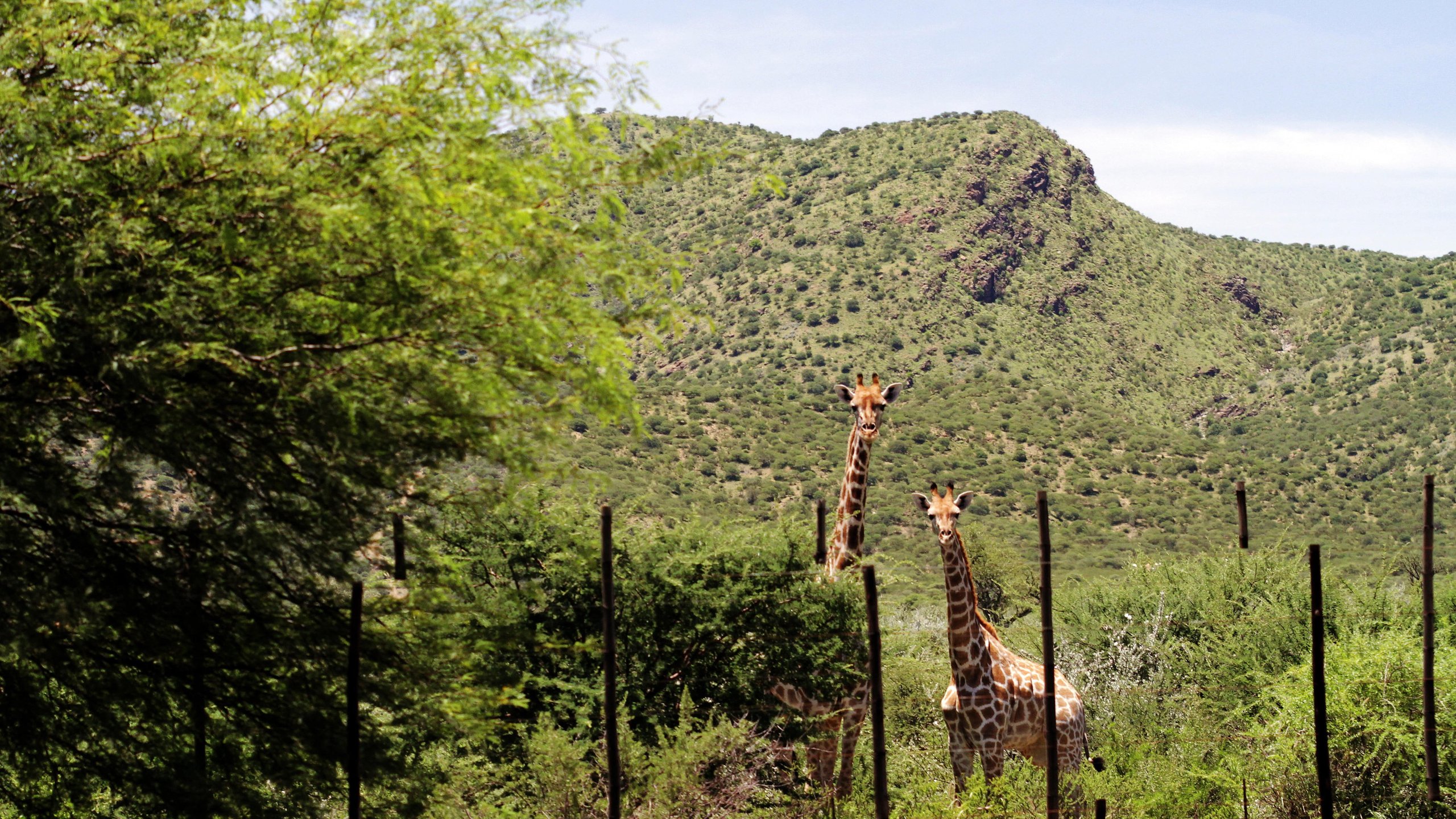 5. Namibia