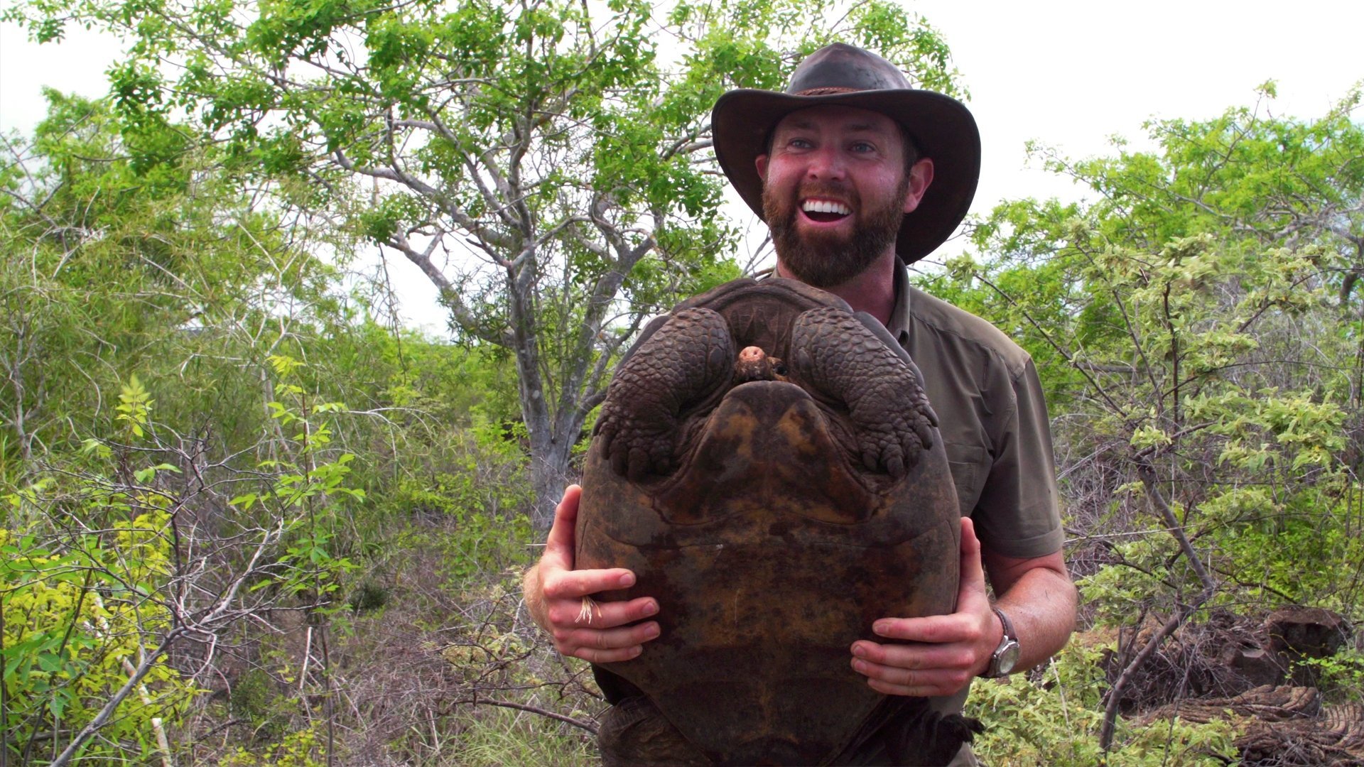 5. The Galapagos Giant