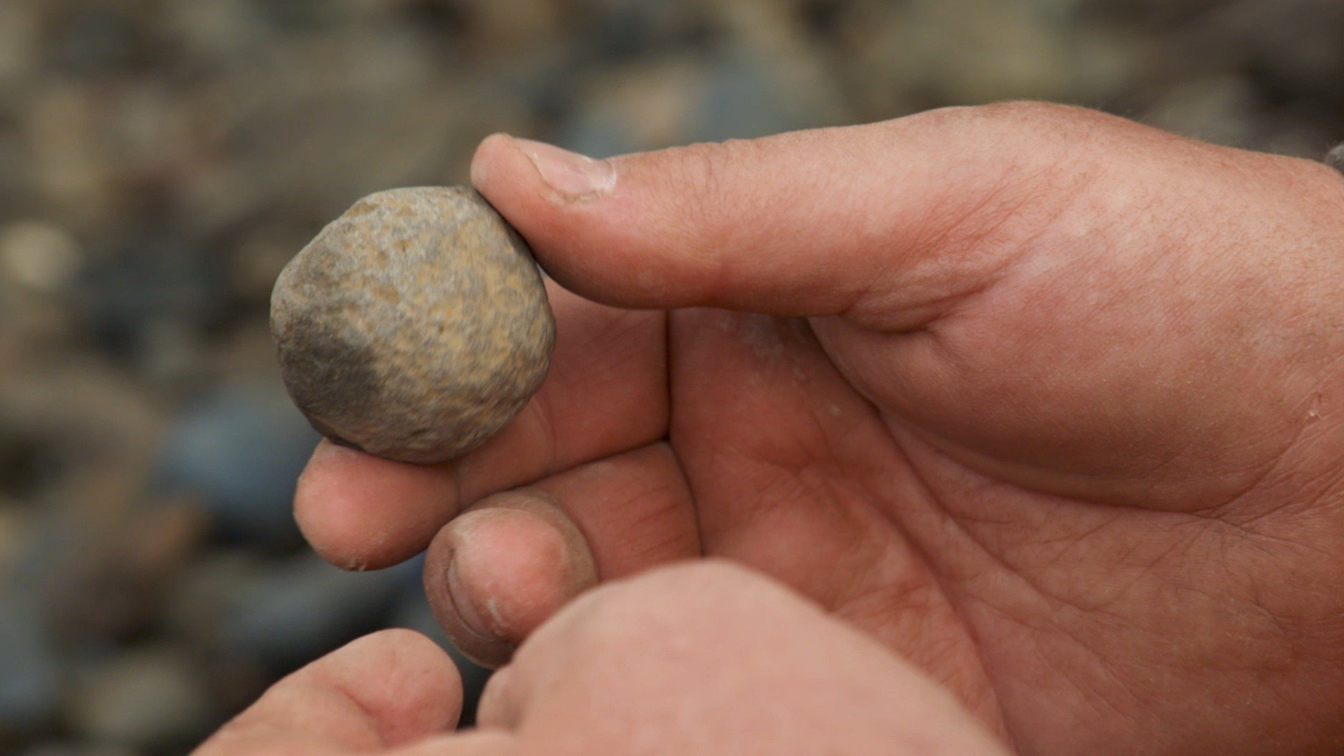 20. A Loose Cannonball