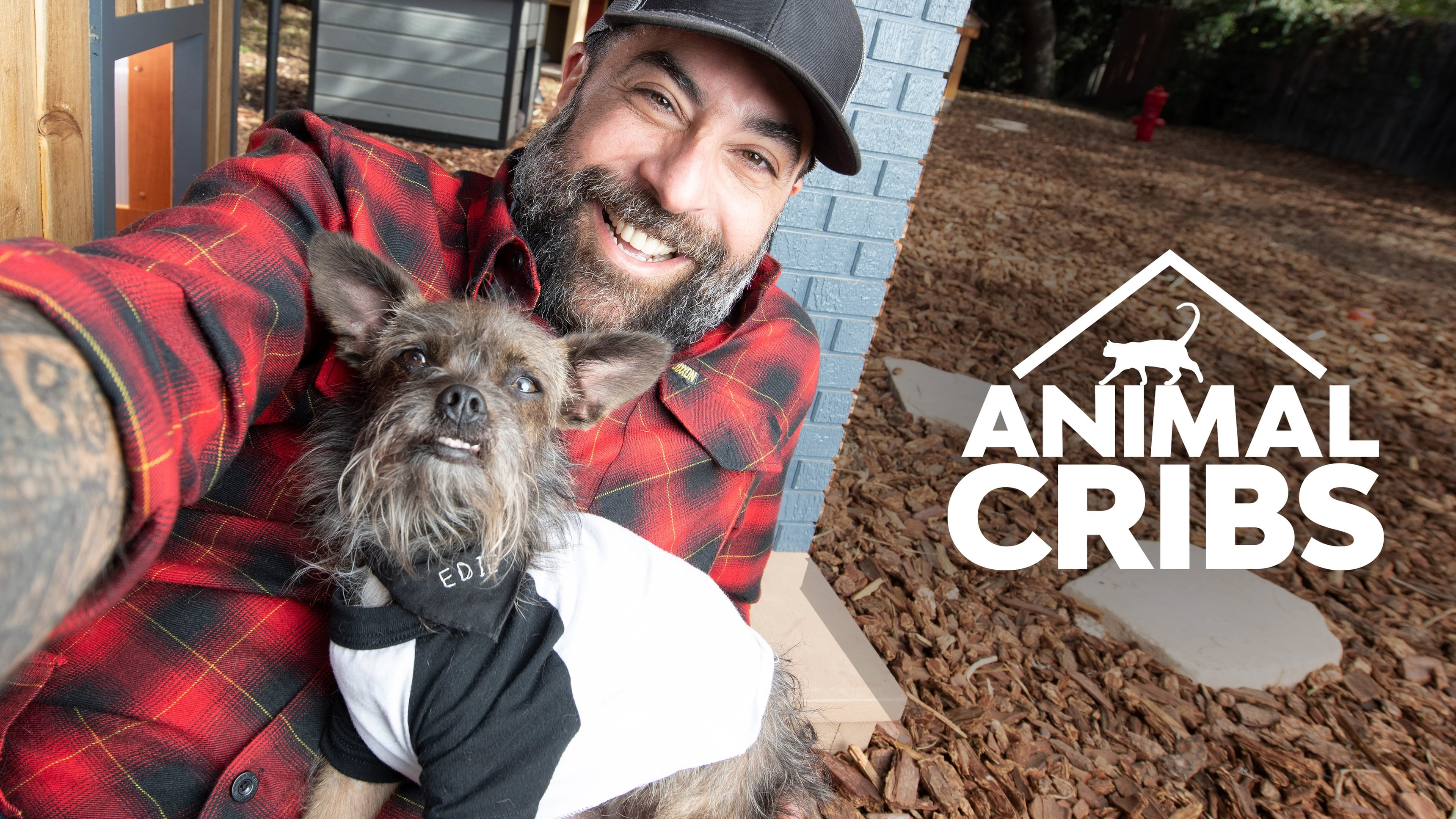 Animal Cribs
