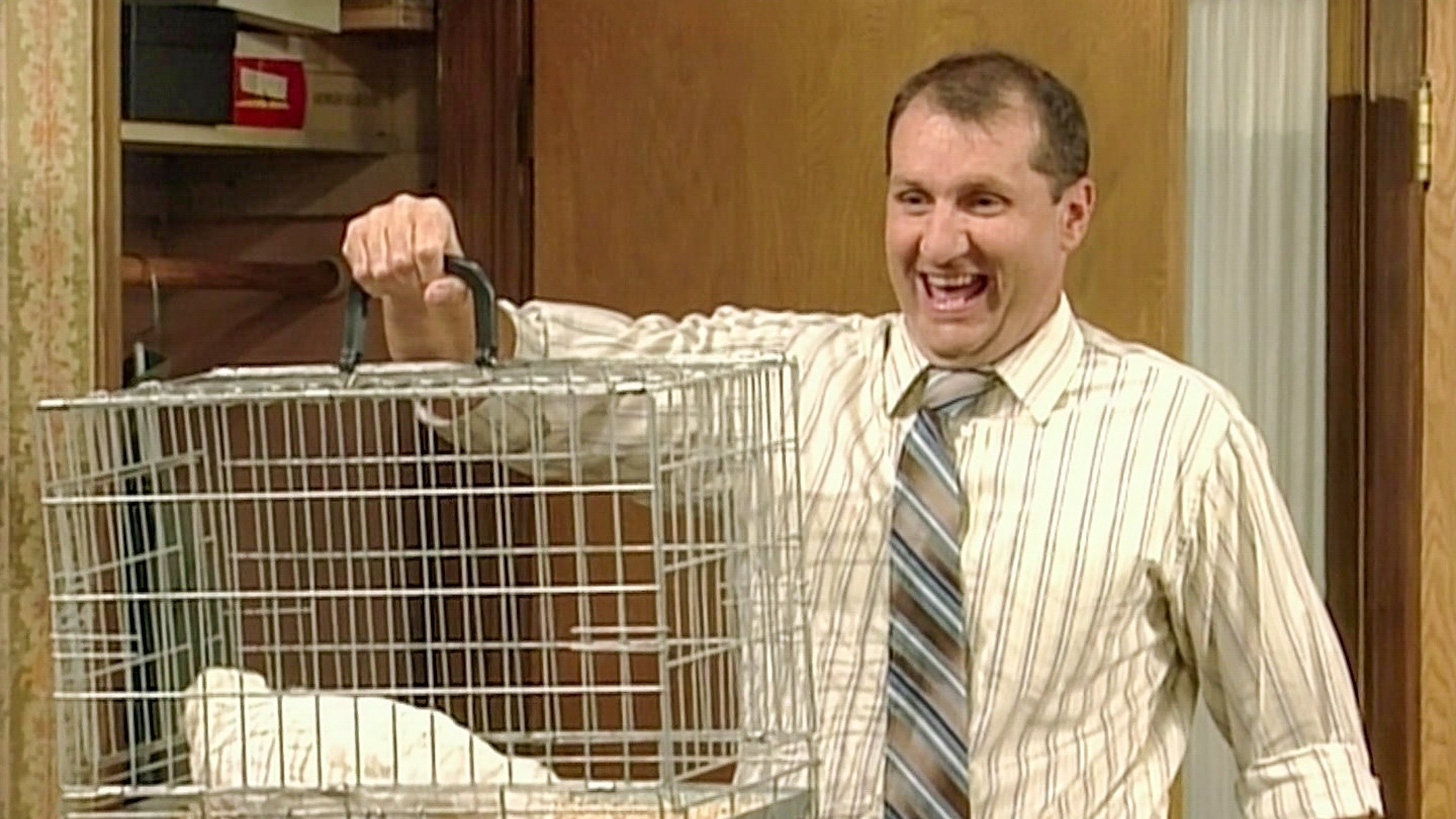 6. No Chicken, No Check