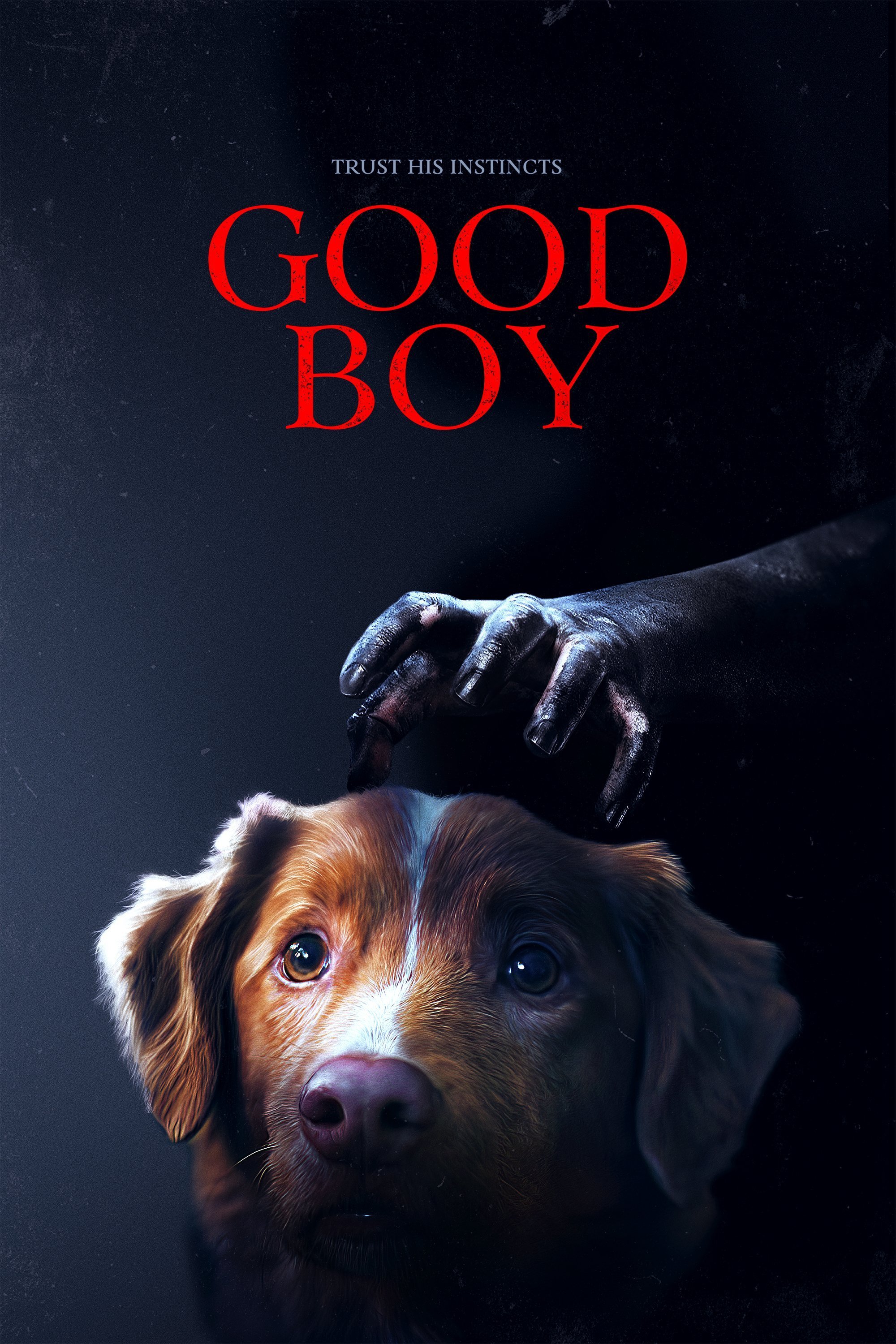 Good Boy