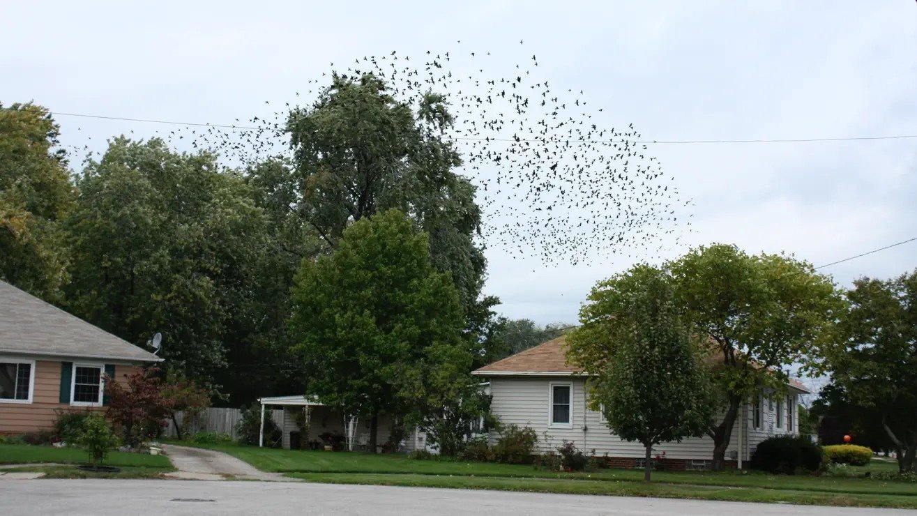 5. Demon House