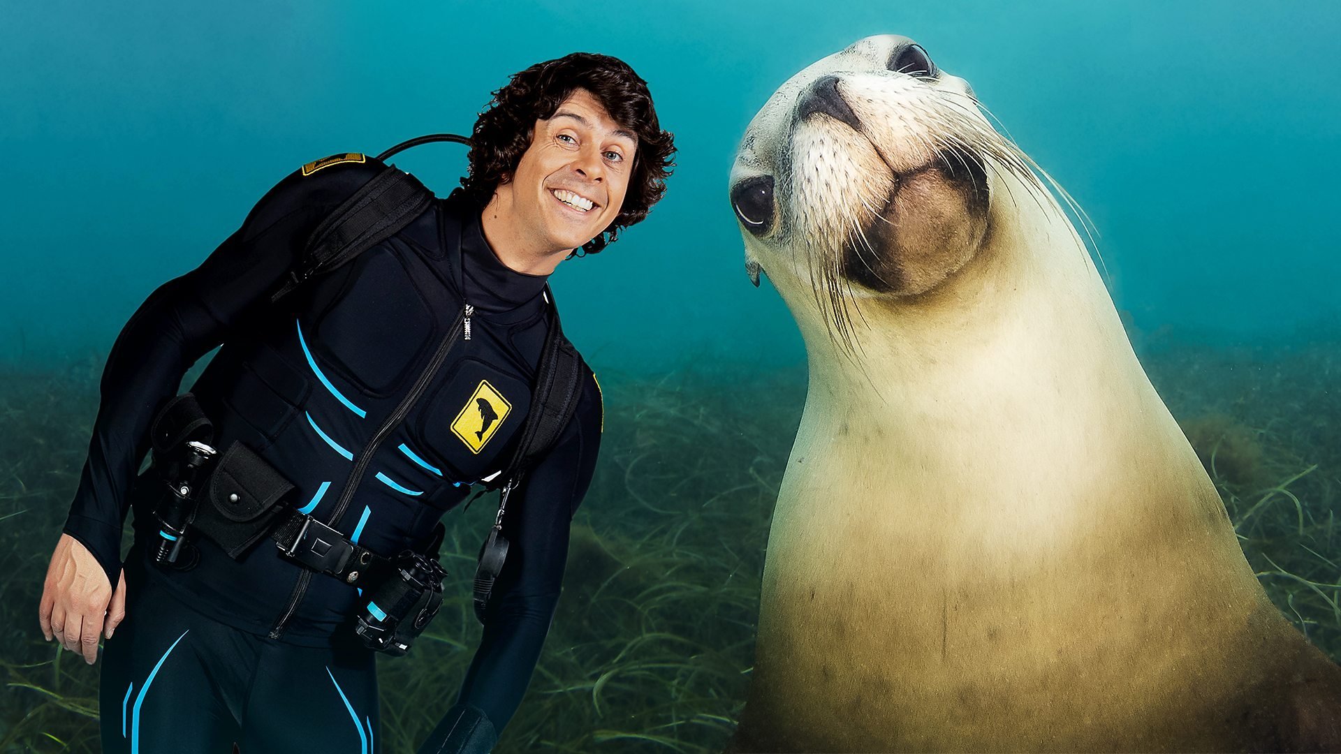 5. Andy och sjölejonen på Galapagos-öarna
