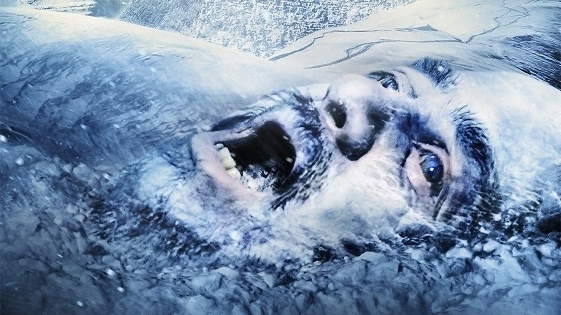 Age of Ice