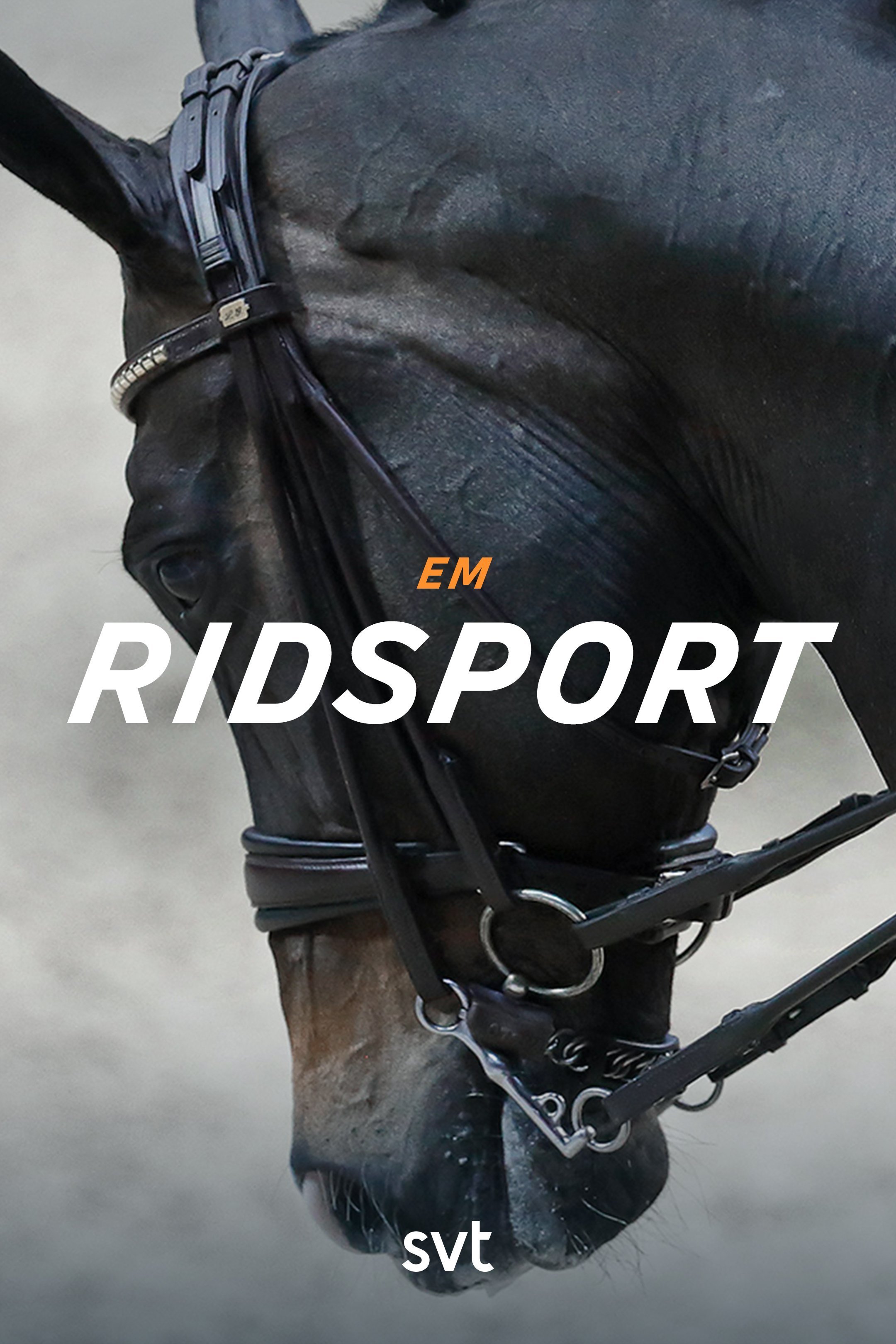 Ridsport: EM