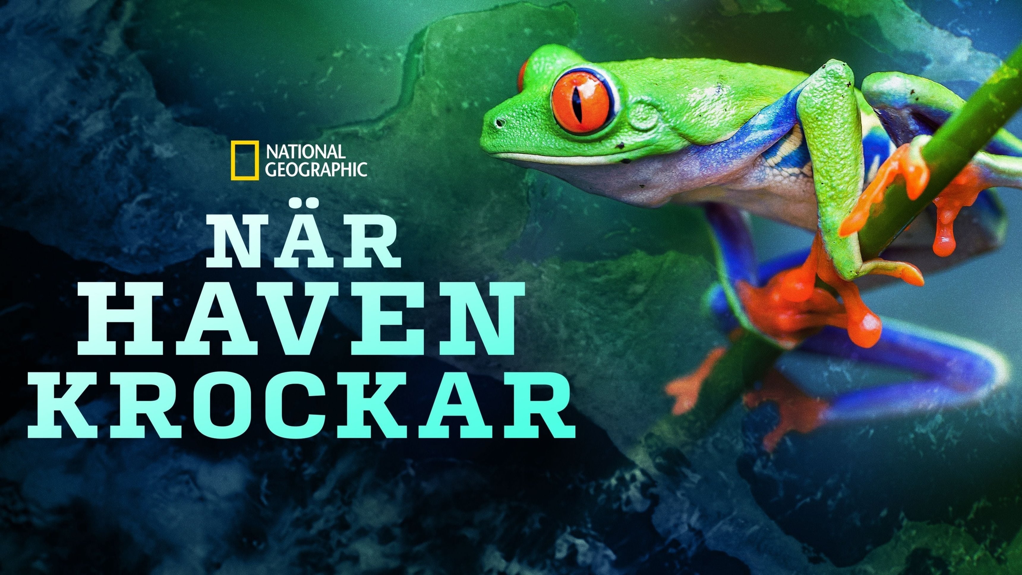 När haven krockar