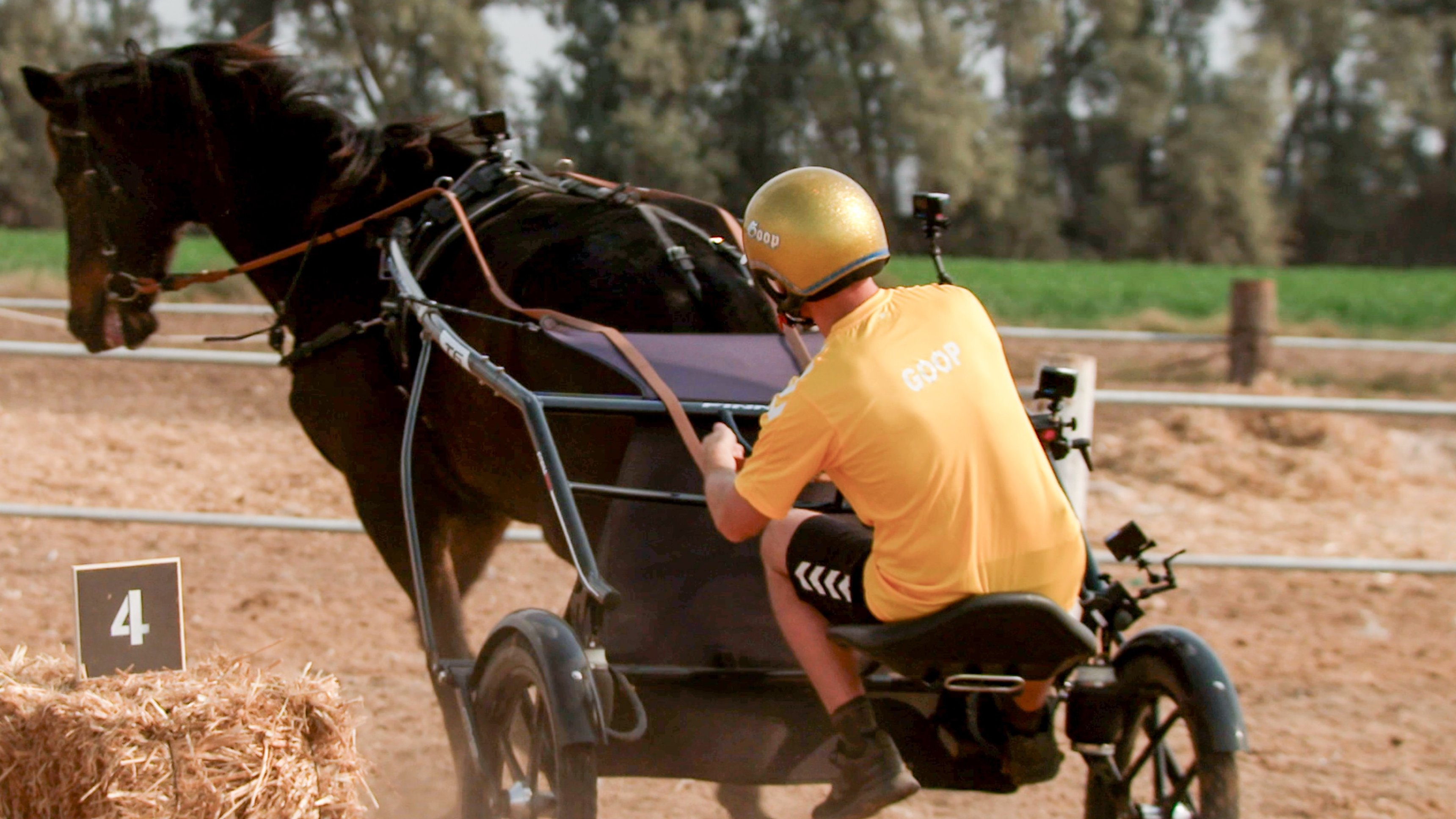 13. Vem kan slå Björn Goop?